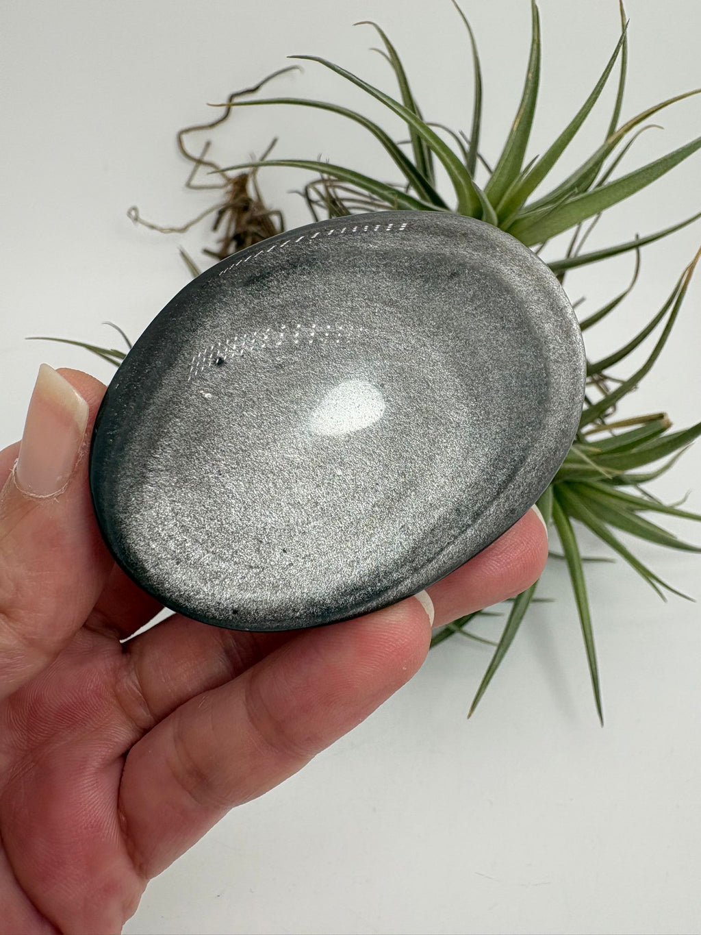 Palmstone obsidiana plateada