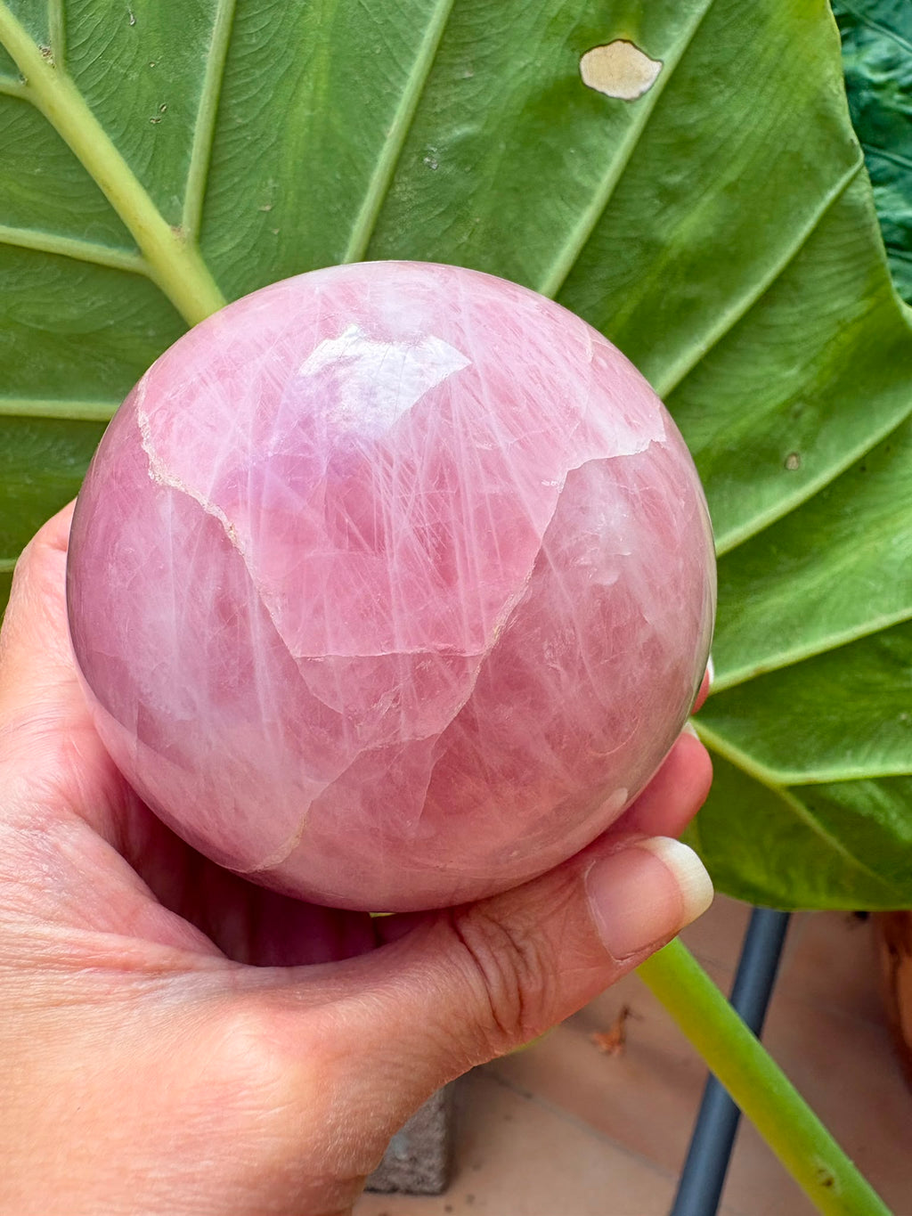 Esfera de cuarzo rosa natural de excelente calidad y precioso color, con 7 cm de diámetro. Una pieza única, ideal para decoración, meditación, coleccionismo o como regalo especial. Descúbrela en La Hada de las Piedras.