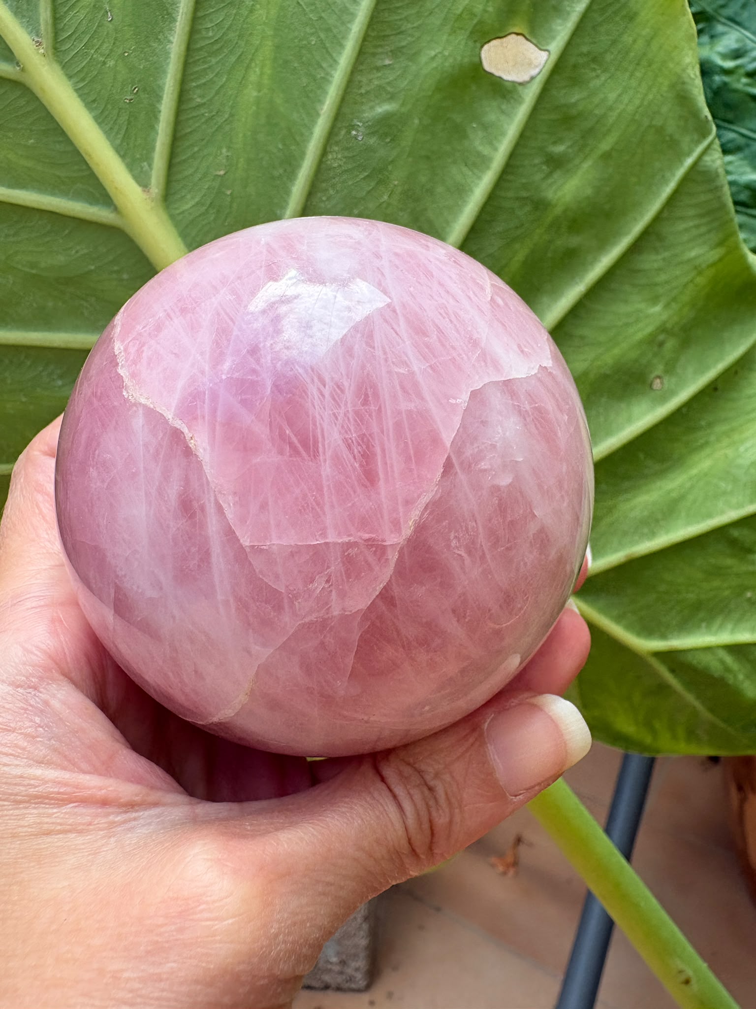Esfera de cuarzo rosa natural de excelente calidad y precioso color, con 7 cm de diámetro. Una pieza única, ideal para decoración, meditación, coleccionismo o como regalo especial. Descúbrela en La Hada de las Piedras.