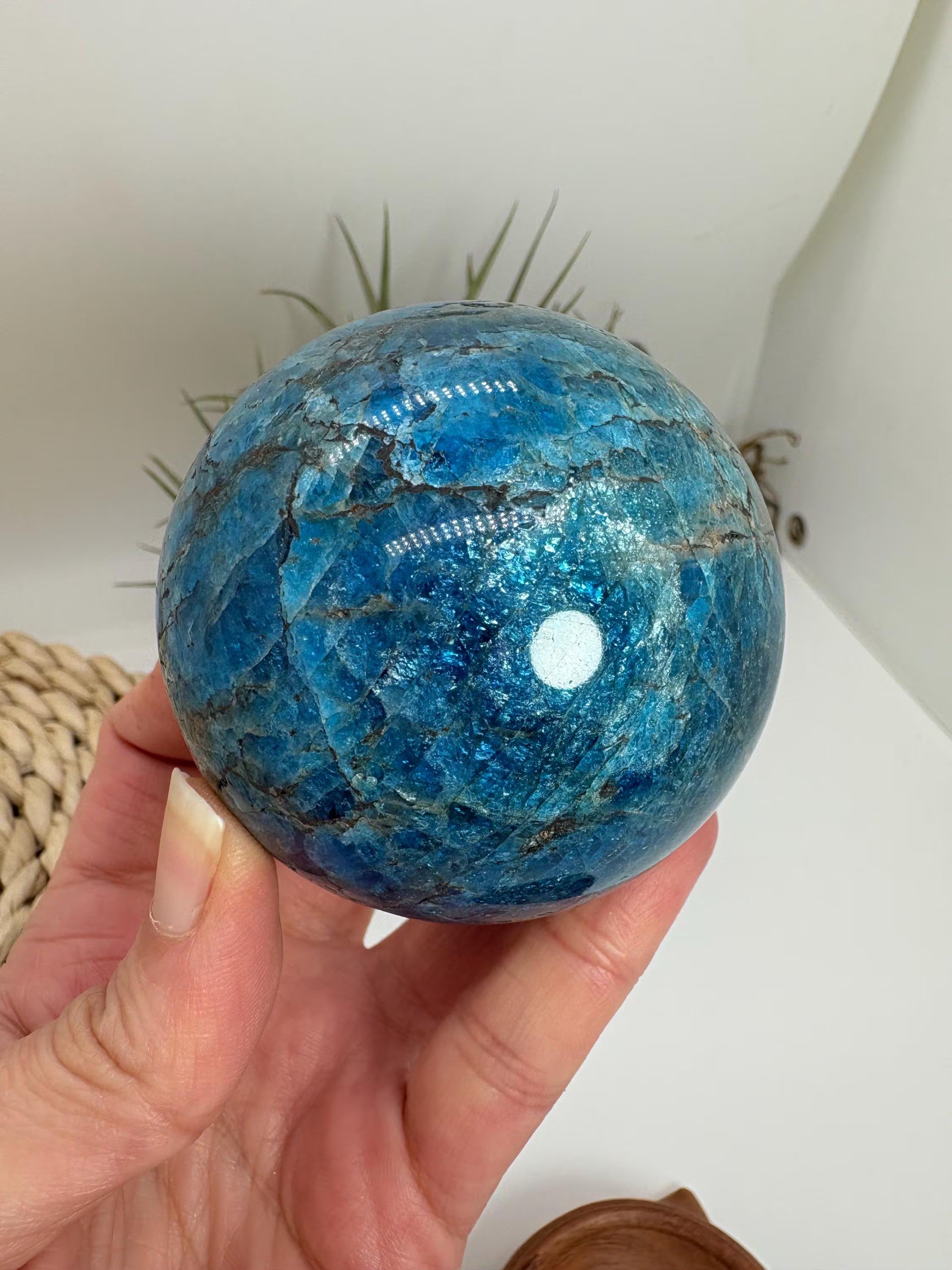 Esfera de apatito azul natural, de gran calidad y color. Ideal para colección y terapias de meditación sanación. color azul intenso con brillos.
