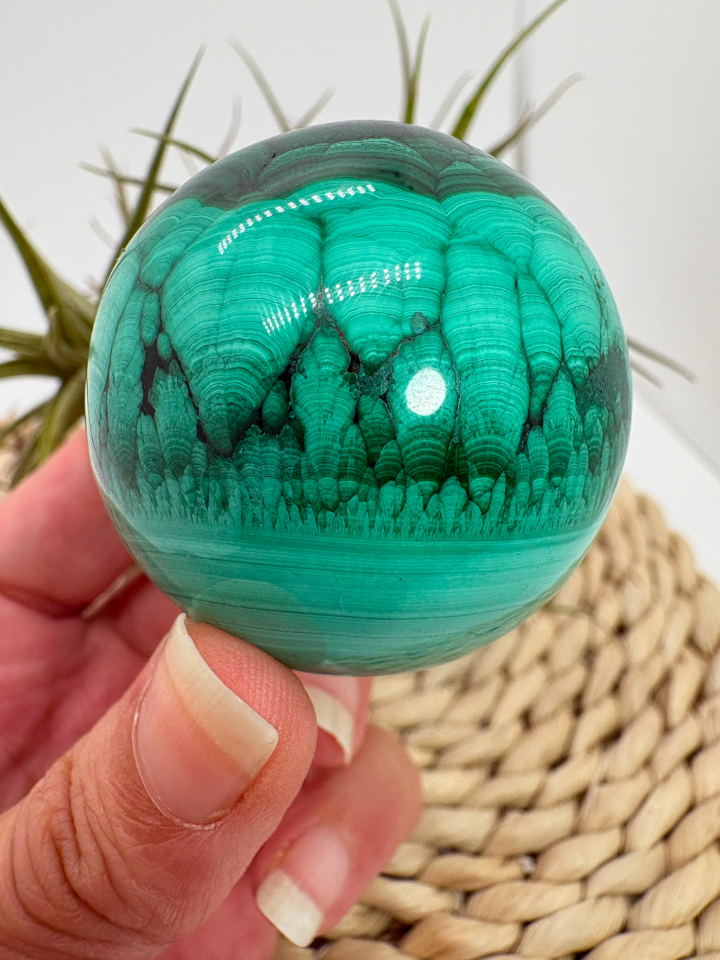 Esfera de malaquita natural de gran belleza, con vetas concéntricas intensas en tonos verdes&nbsp; que crean un patrón único e hipnótico.