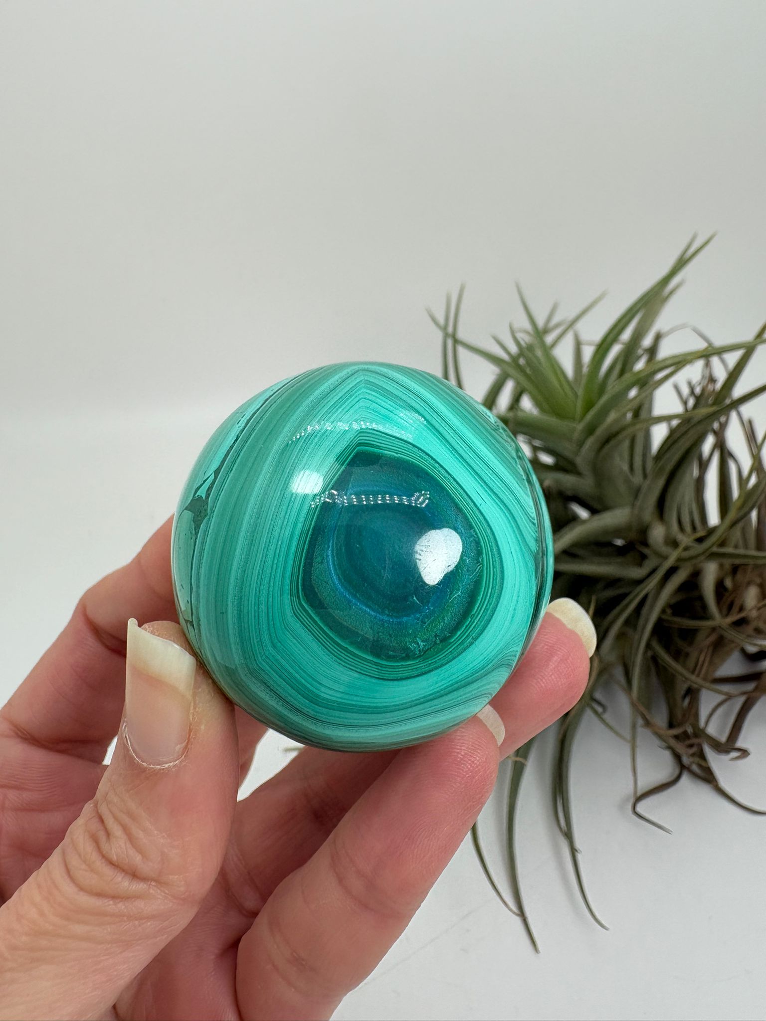  preciosa esfera de malaquita natural con inclusiones de crisocola, ideal para terapias de chakra corazon, ideal para decoracion espiritual. piedra natural