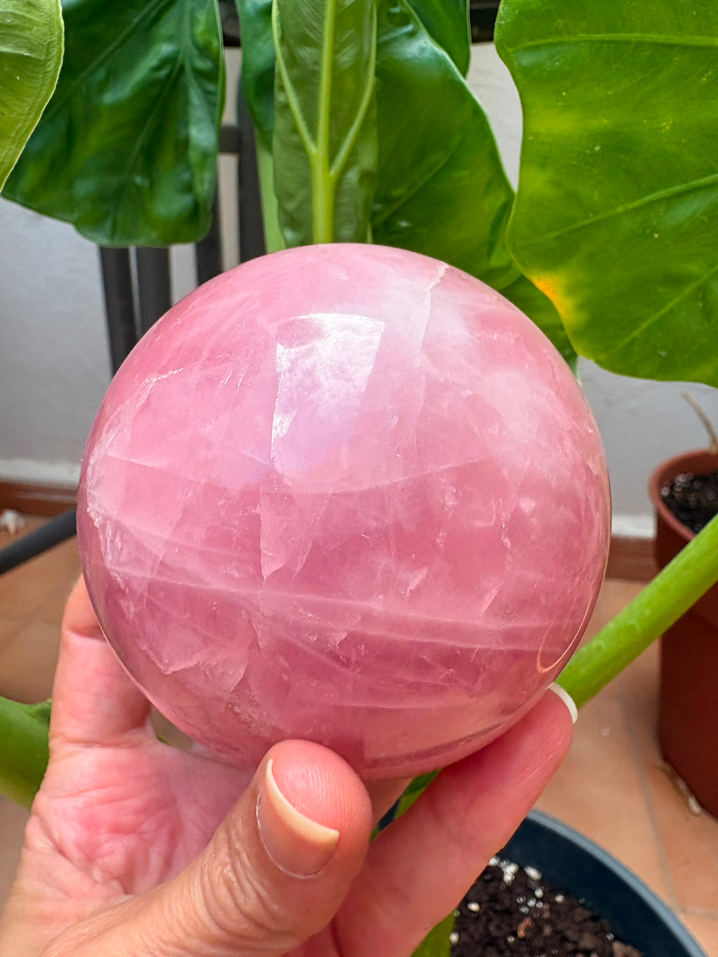 Esfera de cuarzo rosa natural de excelente calidad y precioso color, con 7 cm de diámetro. Una pieza única, ideal para decoración, meditación, coleccionismo o como regalo especial. Descúbrela en La Hada de las Piedras.
