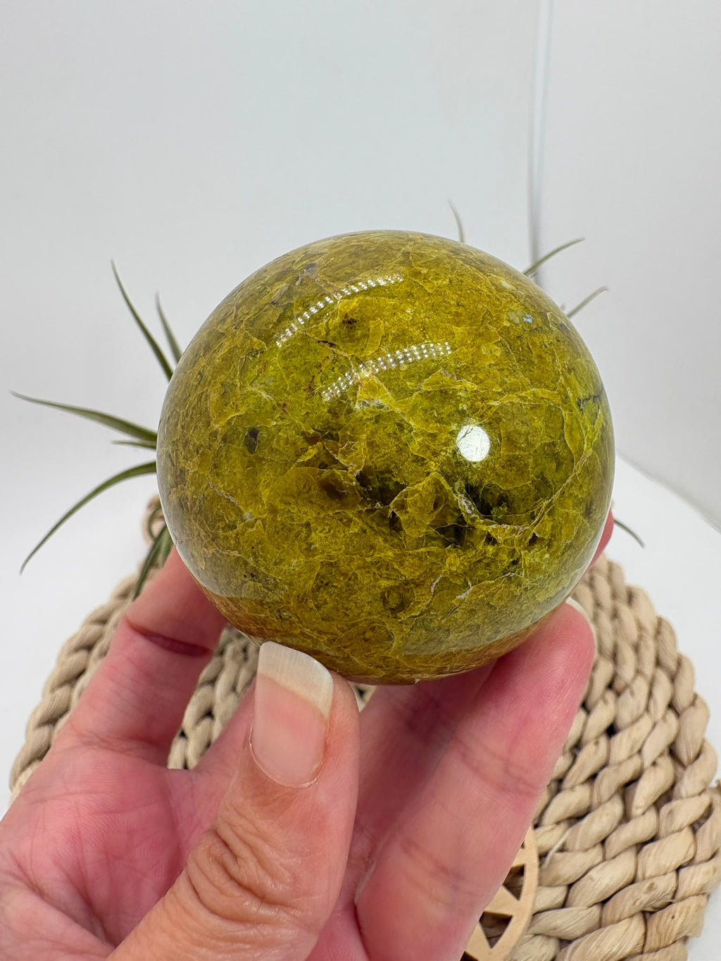 Preciosa esfera de ópalo verde procedente de Madagascar, caracterizada por sus tonalidades verdes, amarillentas y blancas, que forman dibujos naturales únicos en toda la superficie. Su pulido realza el color, el brillo y la riqueza de sus matices.