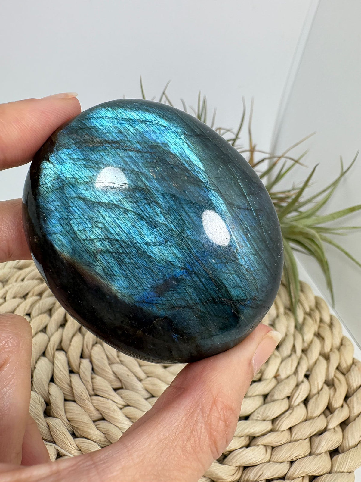 Palmstone de labradorita azul
