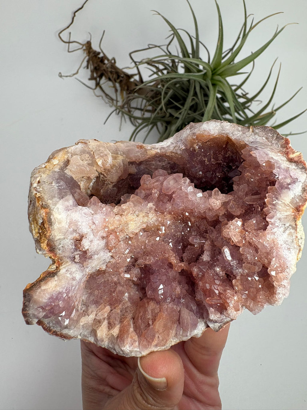 Geoda de amatista rosa de Argentina