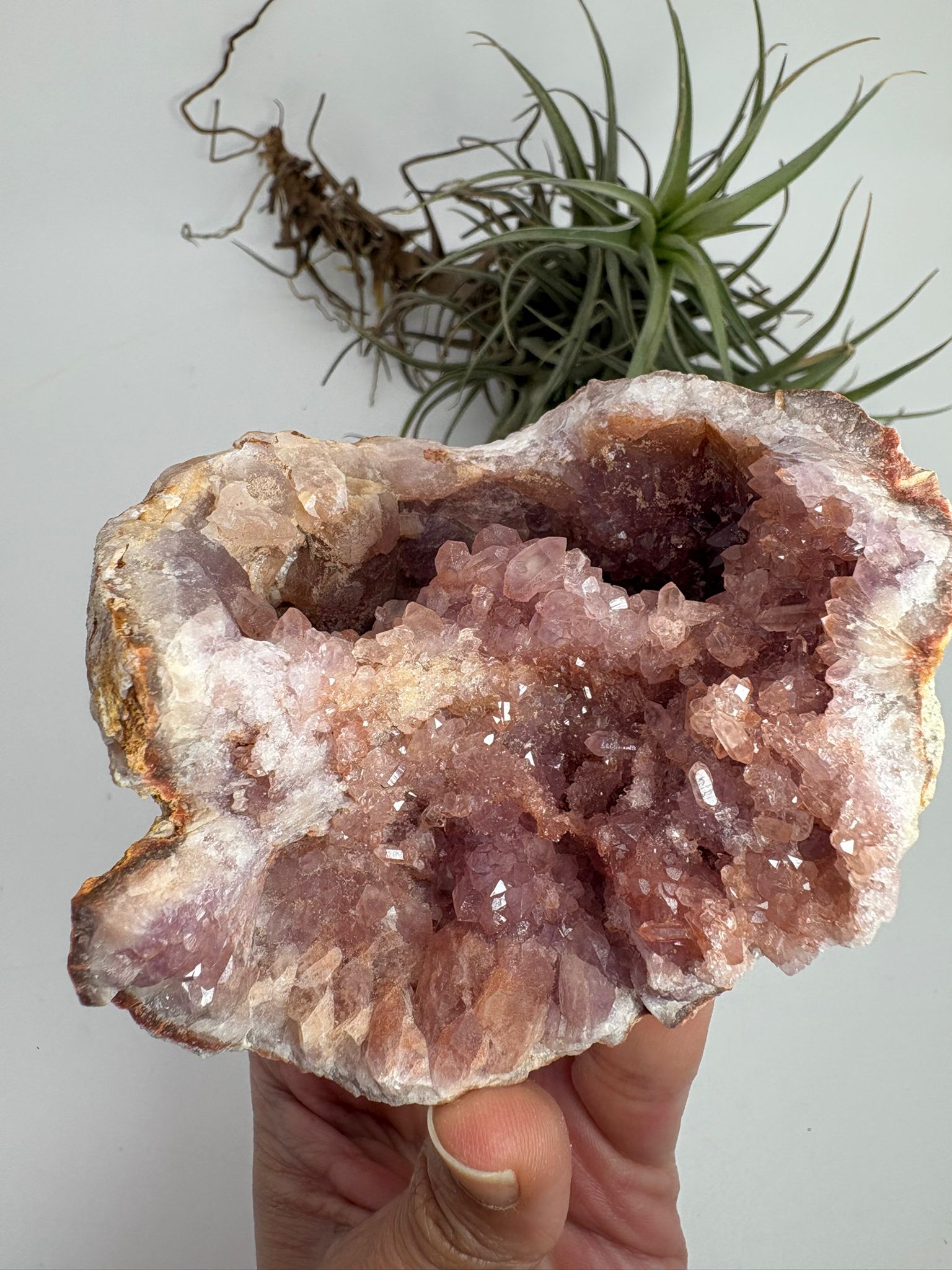 Geoda de amatista rosa de Argentina