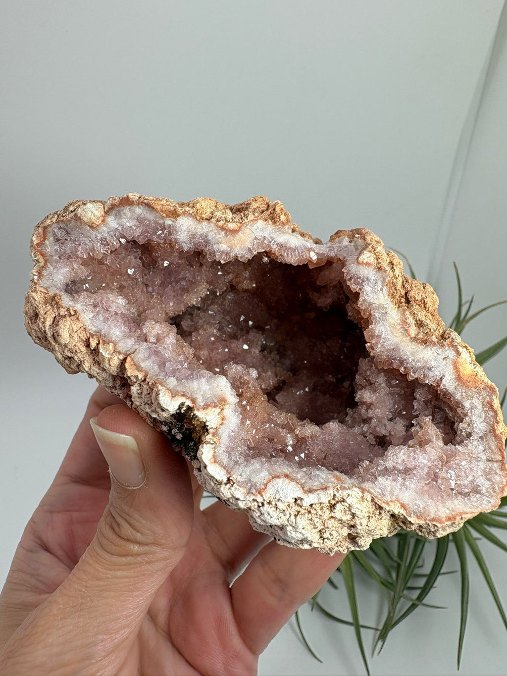 Geoda de amatista rosa de Argentina