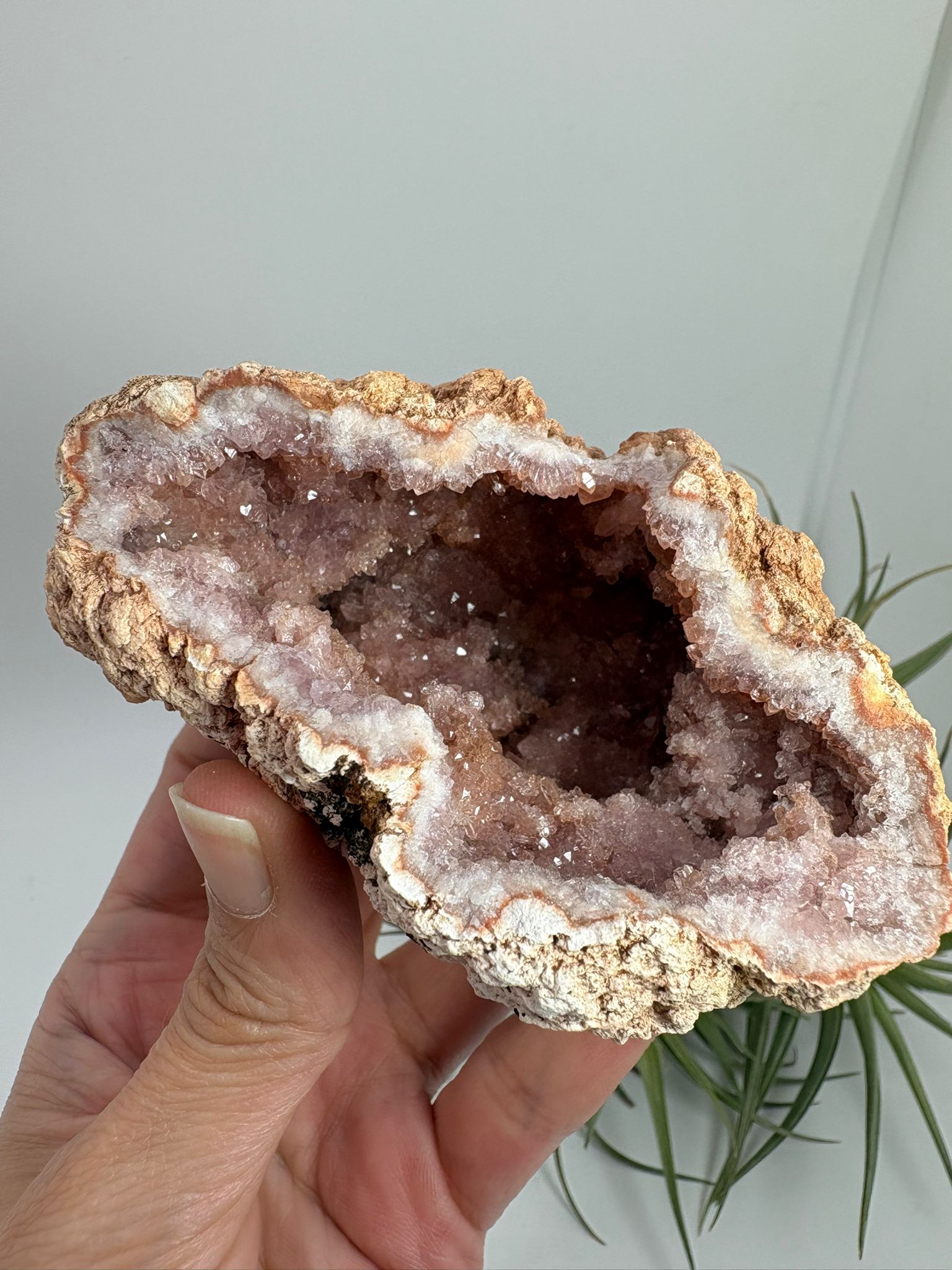 Geoda de amatista rosa de Argentina
