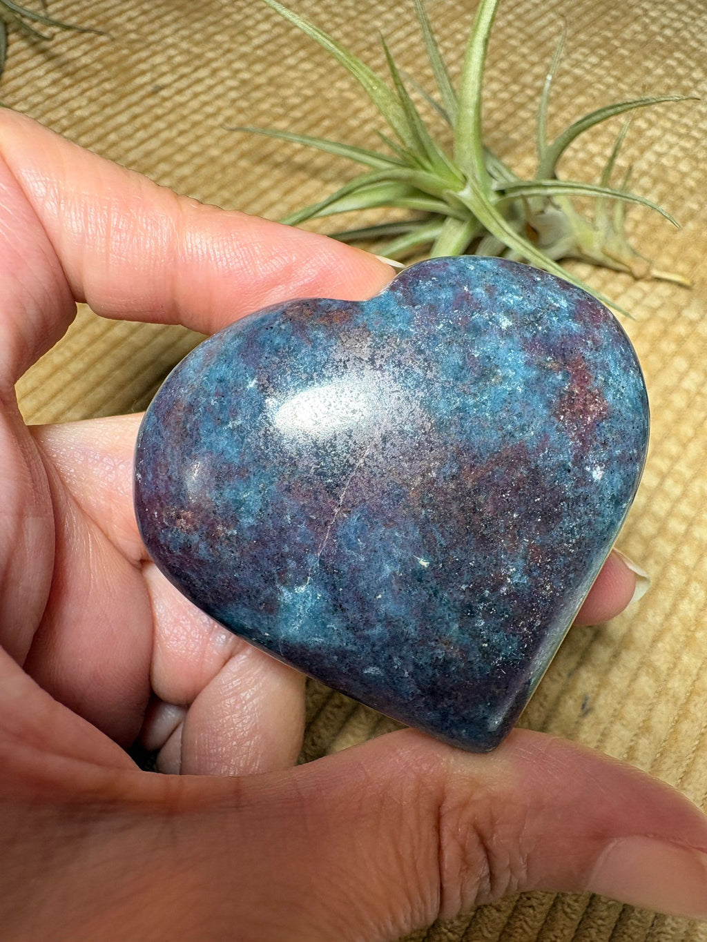 Corazón de cianita con rubí uv