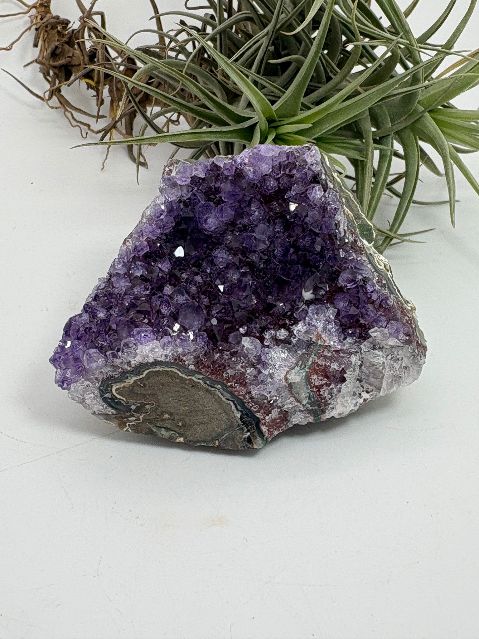 Drusa de amatista natural - cristales violetas brillantes