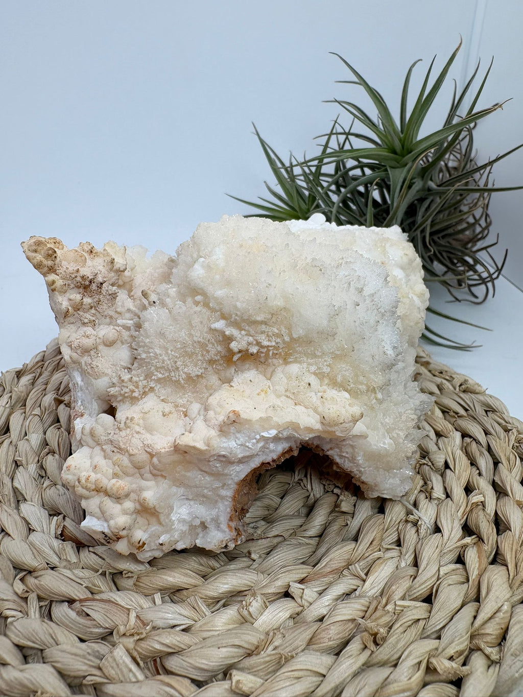 Aragonito coraloide natural para colección