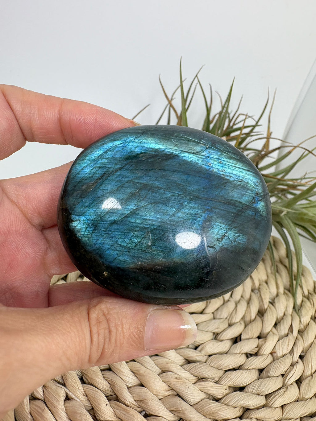 Palmstone de labradorita azul
