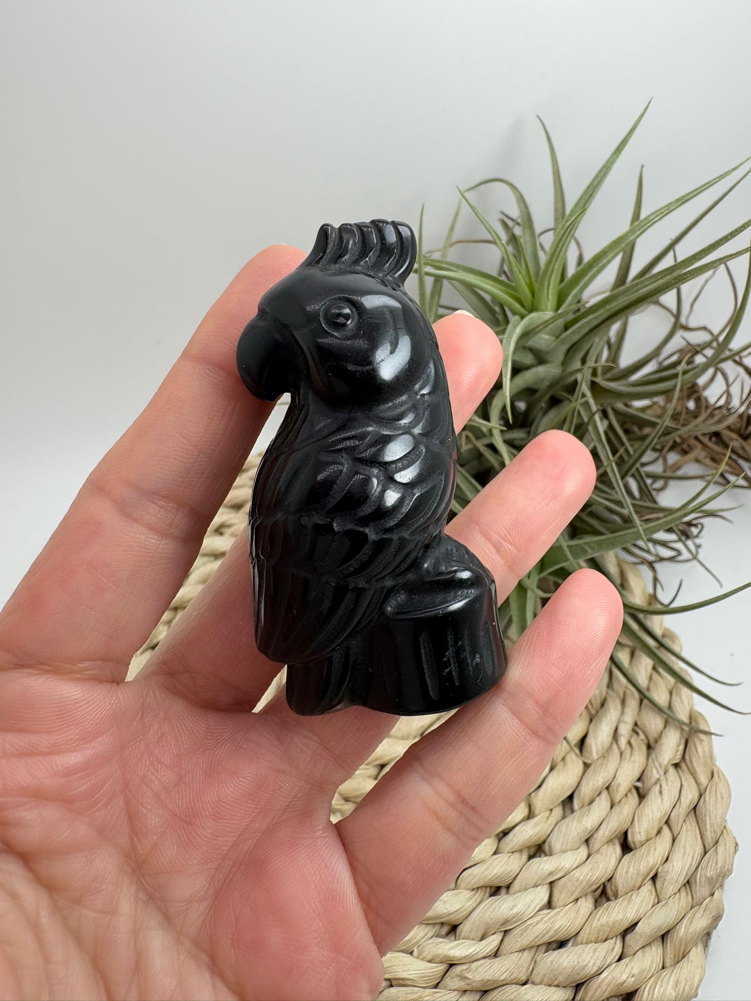 Loro tallado a mano en obsidiana negra, una figura decorativa con gran energía protectora. Ideal para hogar, altar o colección.