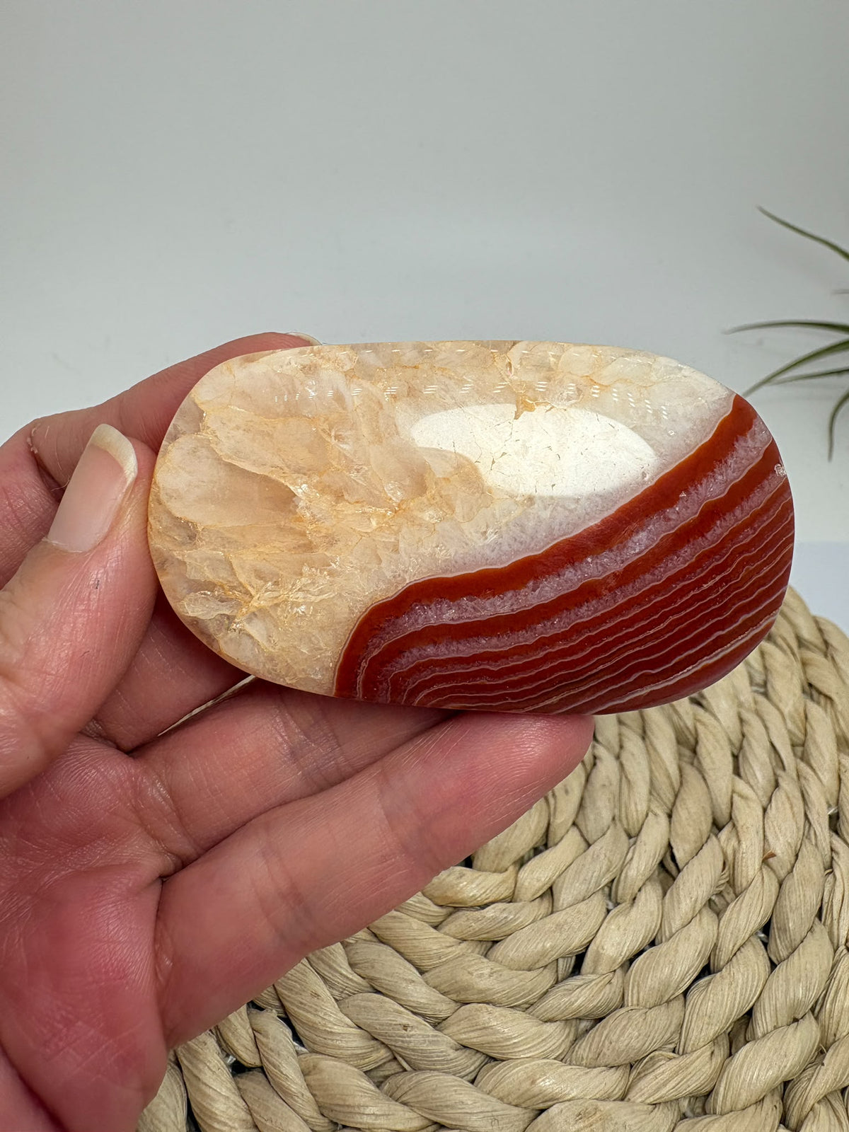 Descubre esta palmstone de ágata cornalina pulida, con bandas rojizas y tonos crema. Recibe la pieza fotografiada de La Hada de las Piedras.