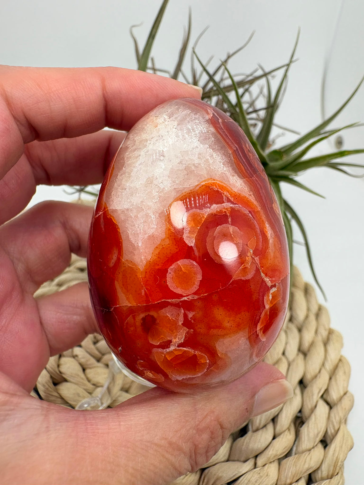 ágata cornalina, huevo de ágata, huevo de cornalina, cornalina natural, mineral naranja, piedra natural, minerales pulidos, decoración con minerales, chakra sacro, piedra de vitalidad, regalo espiritual, La Hada de las Piedras
