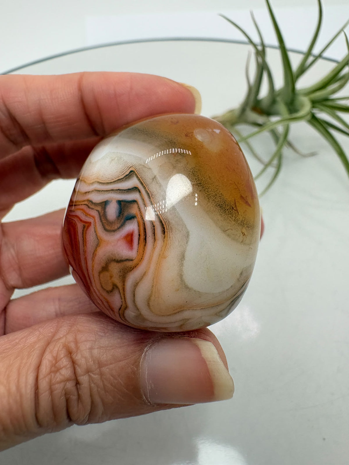 Ágata Sardónice natural procedente de Madagascar, cuidadosamente pulida para resaltar sus espectaculares bandas de tonos marrones, blancos, crema y negros.