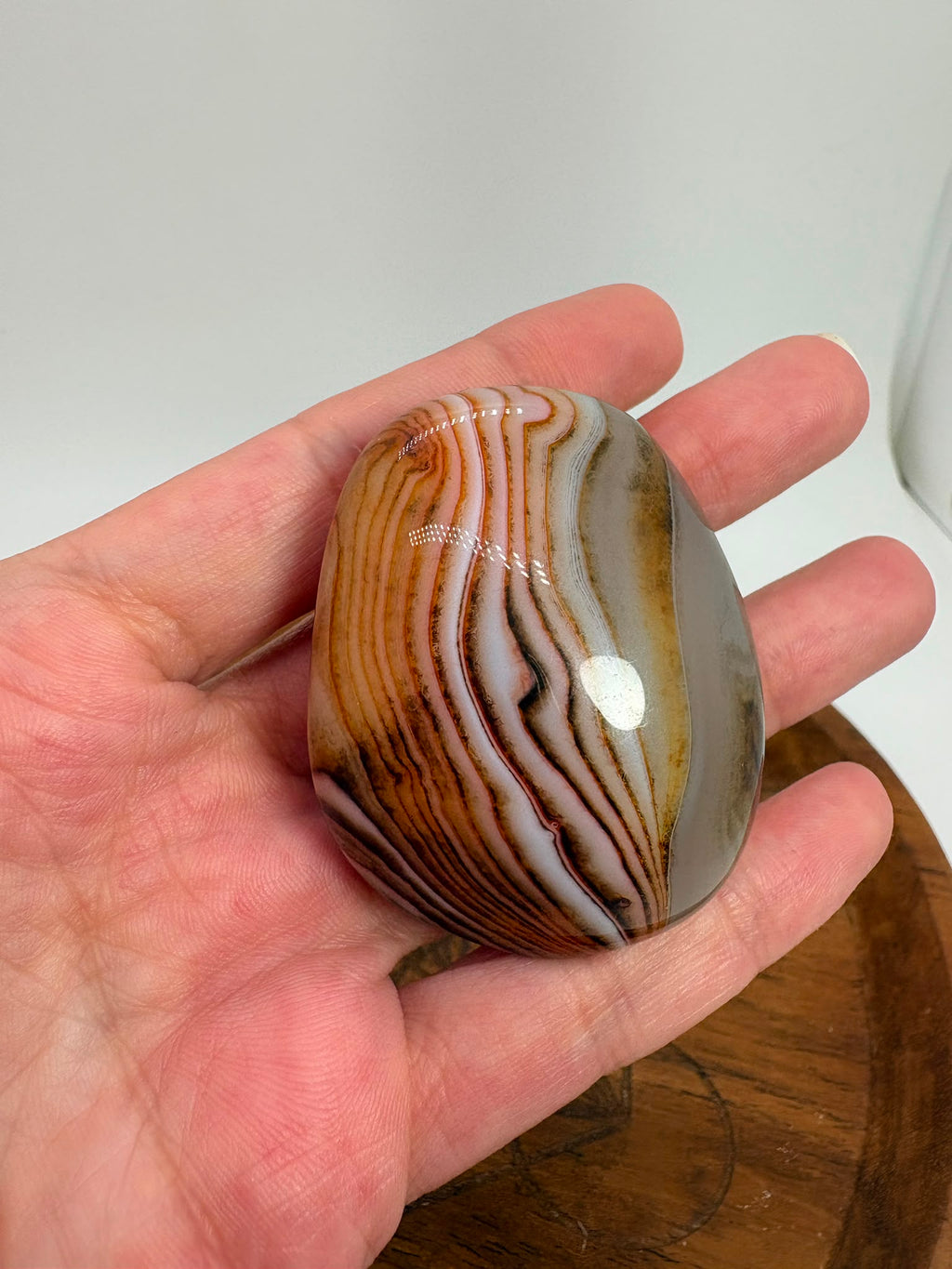 
Ágata Sardónice natural de Madagascar, pulida y de pieza única. Descubre sus elegantes bandas naturales y añade un mineral exclusivo a tu colección.