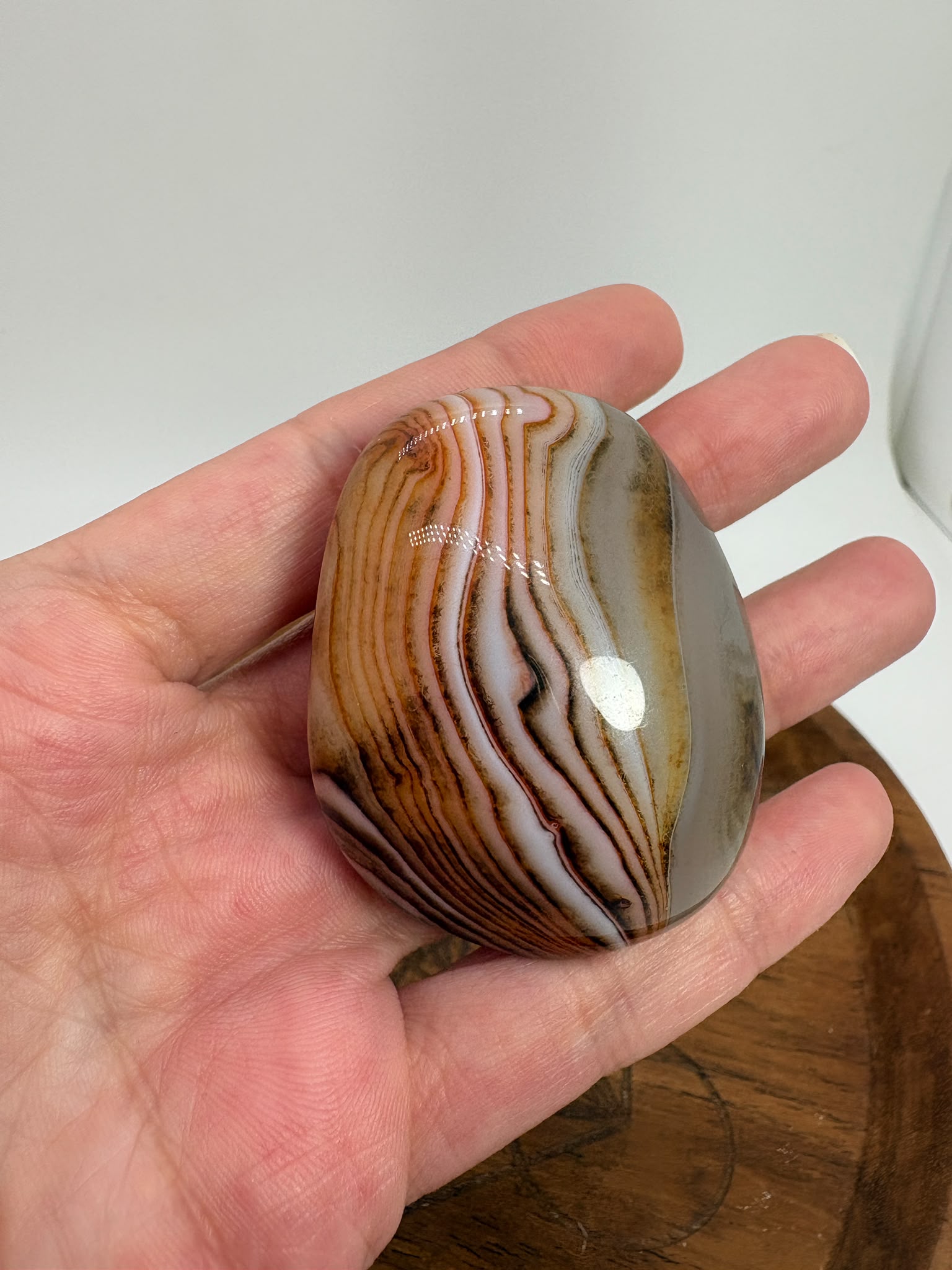 
Ágata Sardónice natural de Madagascar, pulida y de pieza única. Descubre sus elegantes bandas naturales y añade un mineral exclusivo a tu colección.