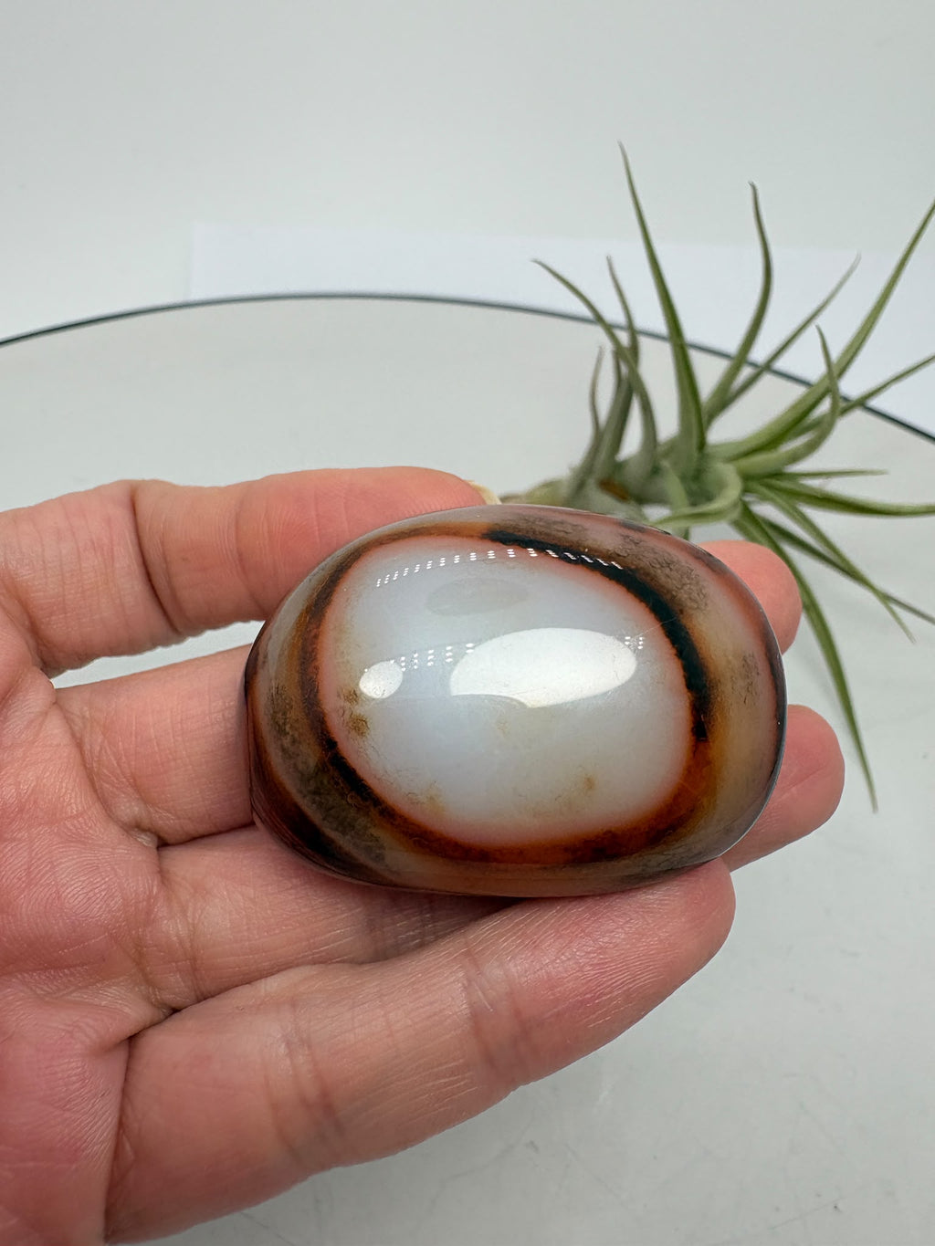 Ágata Sardónice natural de Madagascar, pulida y de pieza única. Descubre sus elegantes bandas naturales y añade un mineral exclusivo a tu colección.