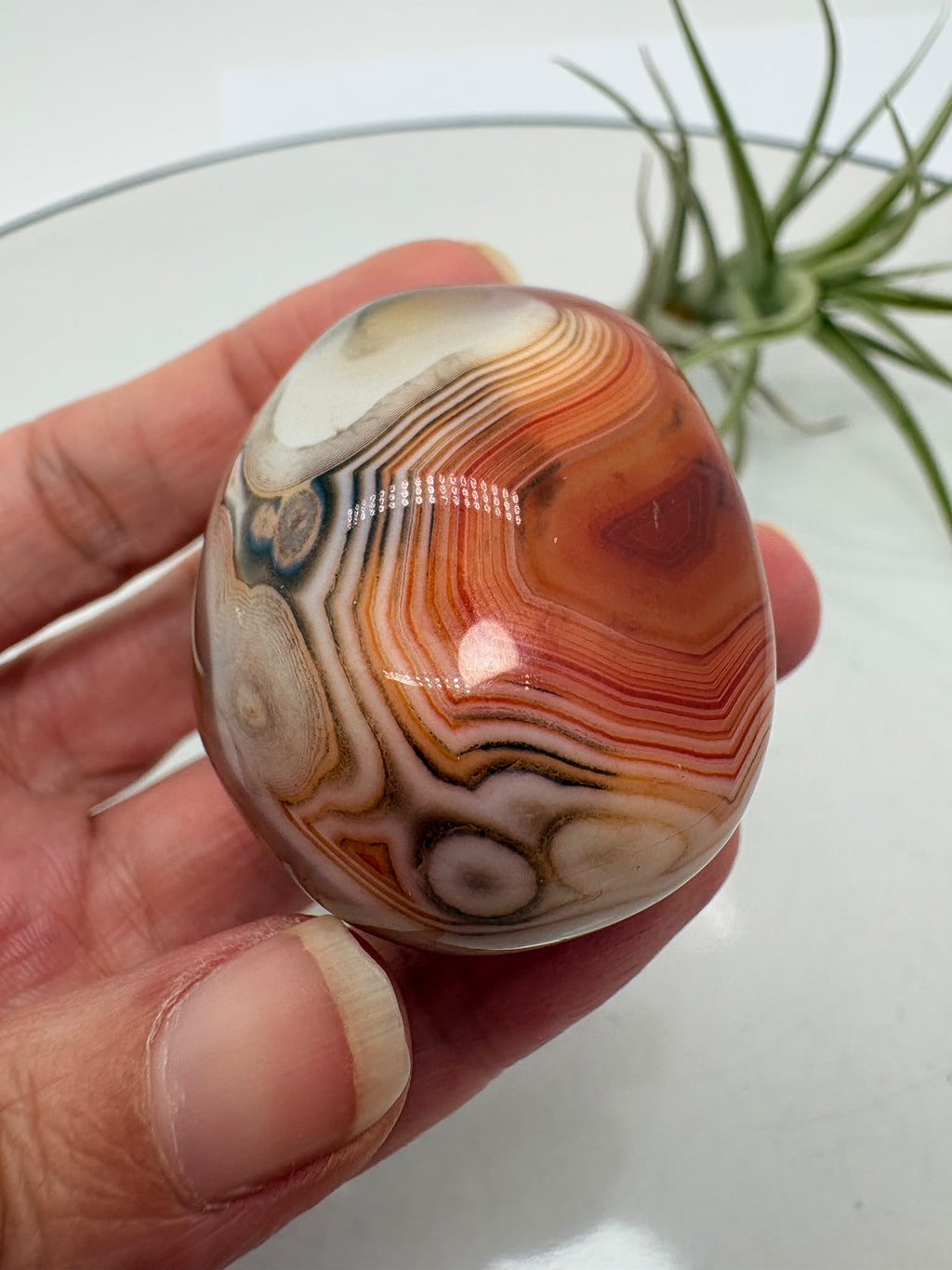 Ágata Sardónice natural de Madagascar, pulida y de pieza única. Descubre sus elegantes bandas naturales y añade un mineral exclusivo a tu colección.