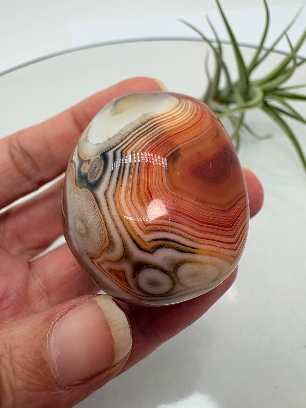 Ágata Sardónice natural de Madagascar, pulida y de pieza única. Descubre sus elegantes bandas naturales y añade un mineral exclusivo a tu colección.