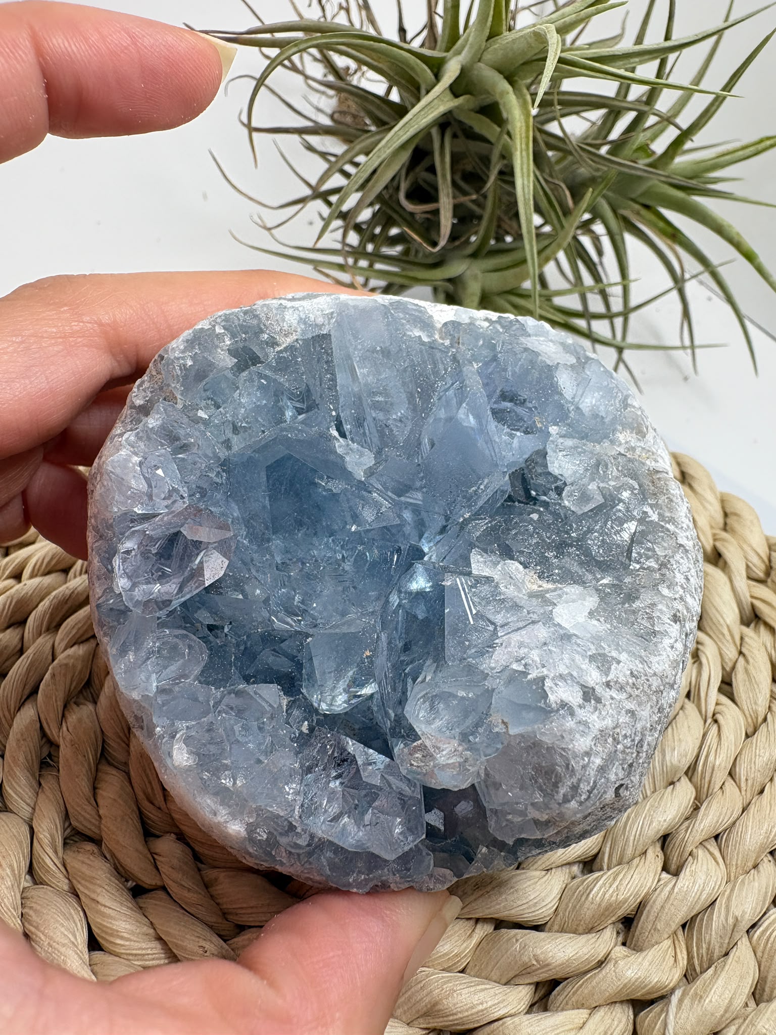 Celestina natural de Madagascar en drusa, de color azul celeste y cristales brillantes. Pieza única de 535 g para colección y decoración.