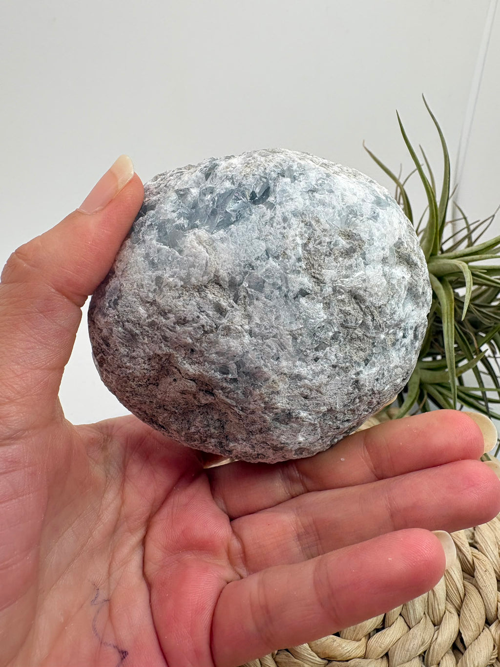 Celestina natural de Madagascar en drusa, de color azul celeste y cristales brillantes. Pieza única de 535 g para colección y decoración.