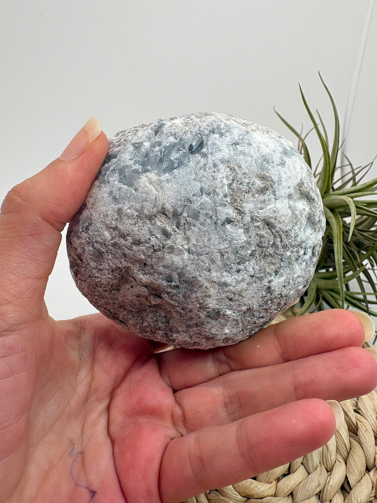 Celestina natural de Madagascar en drusa, de color azul celeste y cristales brillantes. Pieza única de 535 g para colección y decoración.
