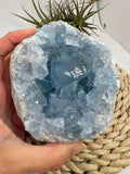 Celestina natural de Madagascar en drusa, de color azul celeste y cristales brillantes. Pieza única de 535 g para colección y decoración.