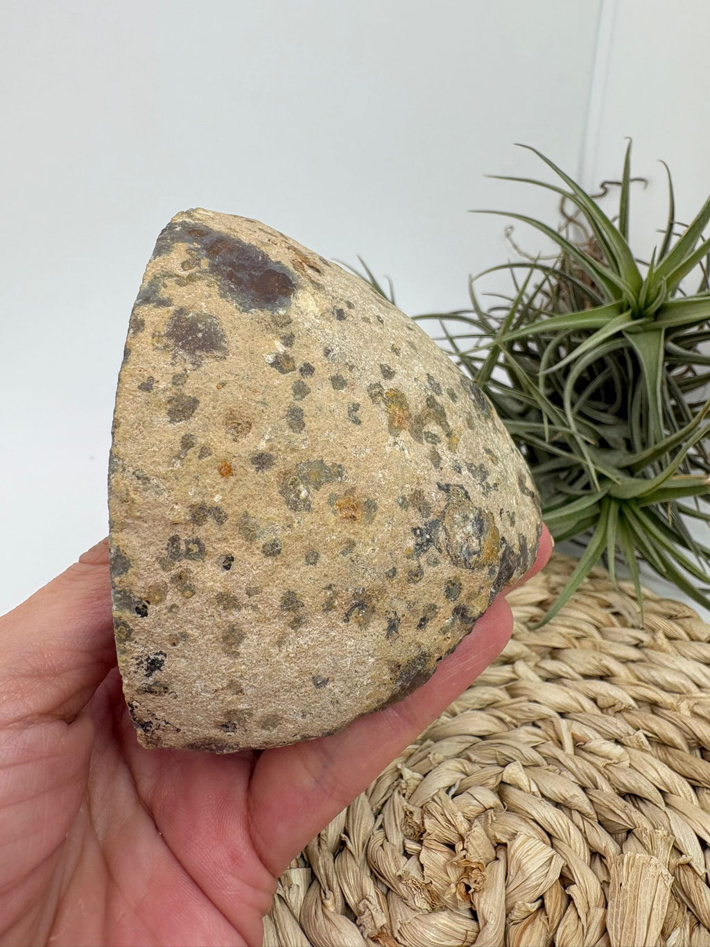 Media geoda de ágata natural semipulida de Brasil con cavidad central y bandas marrones translúcidas pieza única