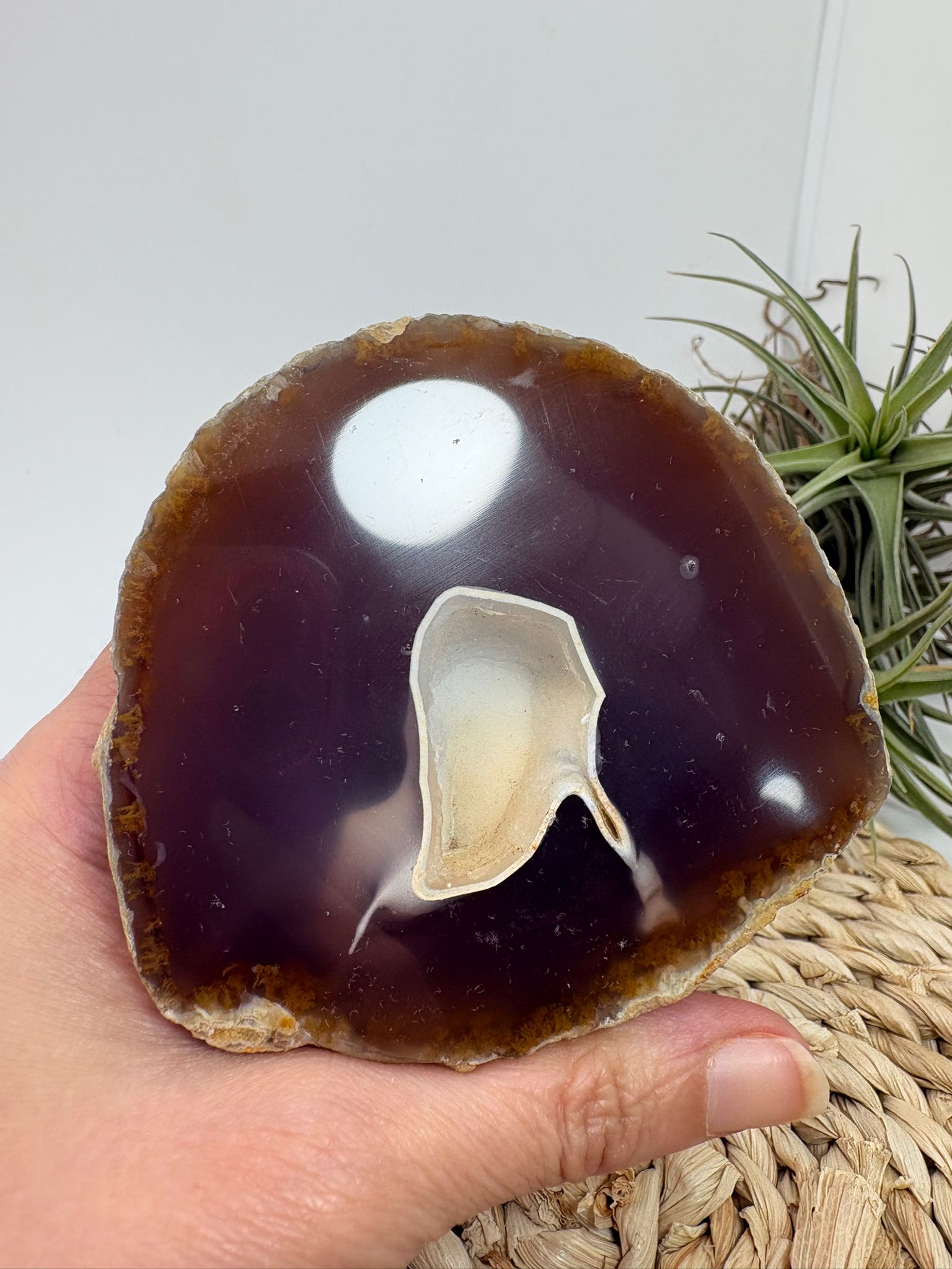 Media geoda de ágata natural semipulida de Brasil con cavidad central y bandas marrones translúcidas pieza única