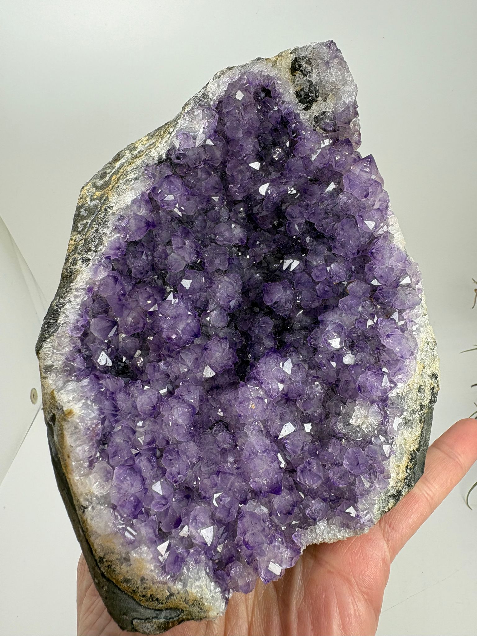 Geoda de amatista natural violeta intensa de 13,2 cm. Pieza única con cristales brillantes ideal para decoración y colección.