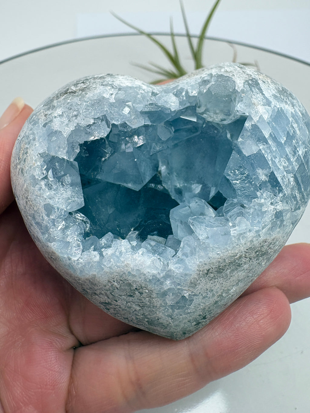 Corazón de celestina &nbsp;natural procedente de Madagascar, formada por numerosos cristales de tonalidad azul celeste y superficies brillantes.