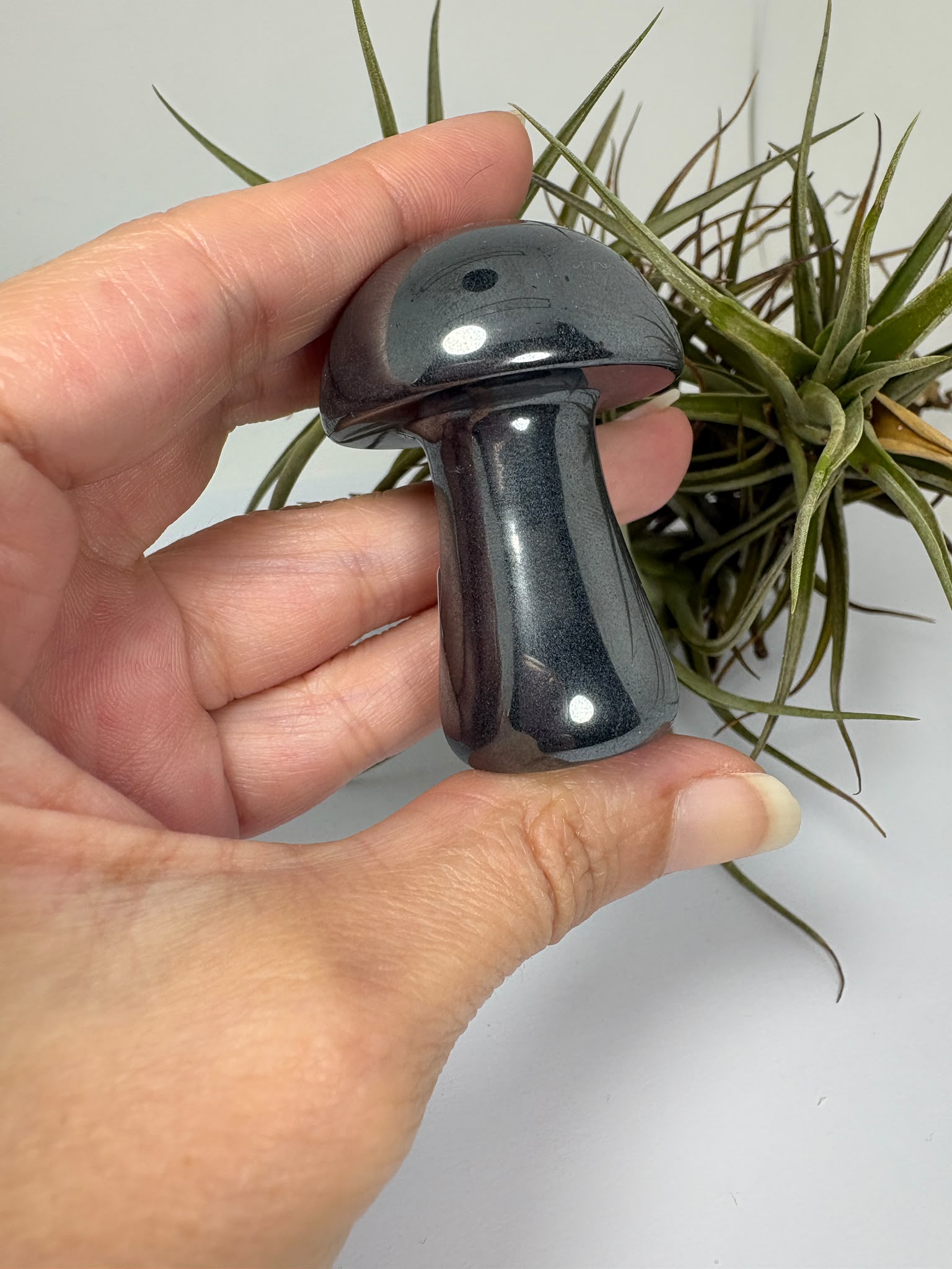 Seta de hematita natural pulida. Mineral de brillo metálico ideal para colección, decoración o regalo. Cada pieza es única por su formación natural.