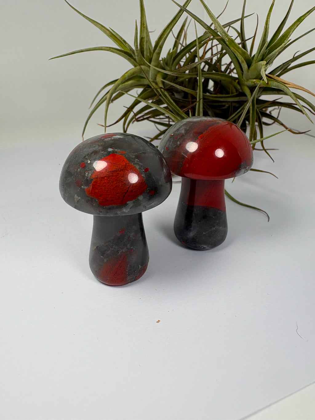 Seta de jaspe heliotropo natural pulido de 5 x 3,5 cm. Mineral único con tonos verdes y rojos, ideal para colección, decoración o regalo.