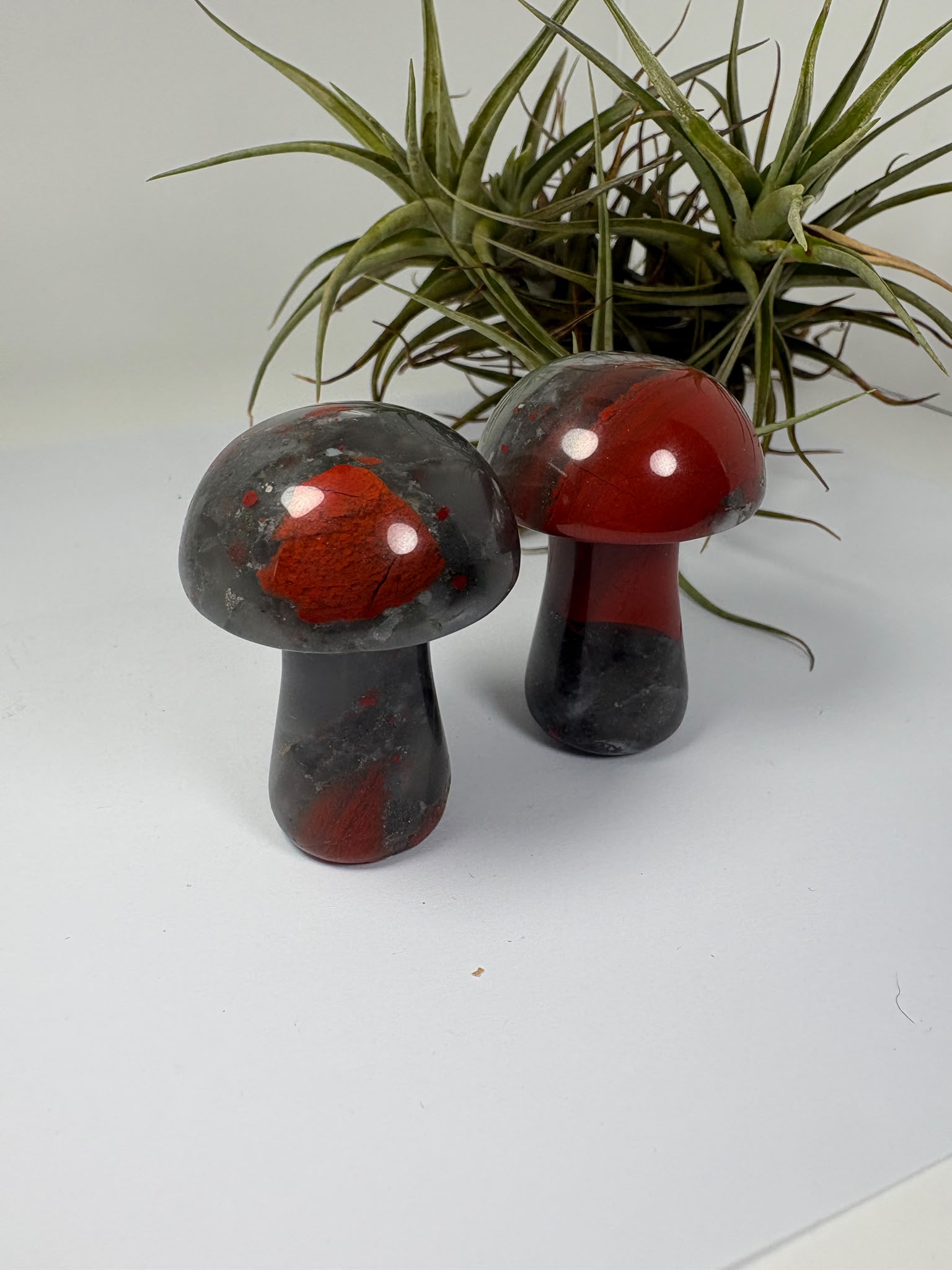 Seta de jaspe heliotropo natural pulido de 5 x 3,5 cm. Mineral único con tonos verdes y rojos, ideal para colección, decoración o regalo.