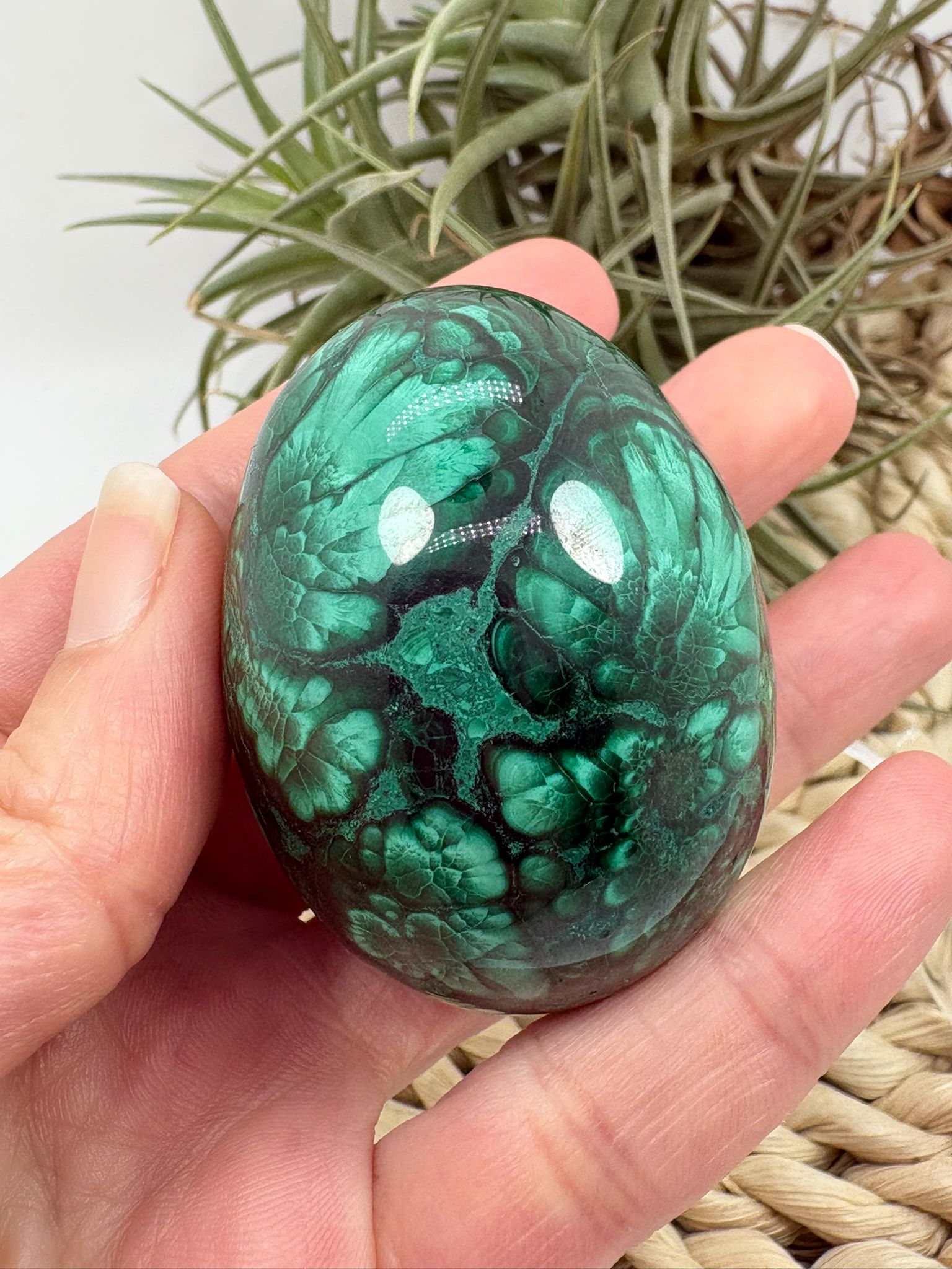 Huevo de malaquita fibrosa pulida con intensos tonos verdes y patrón natural único. Piedra de protección, transformación y energía profunda.