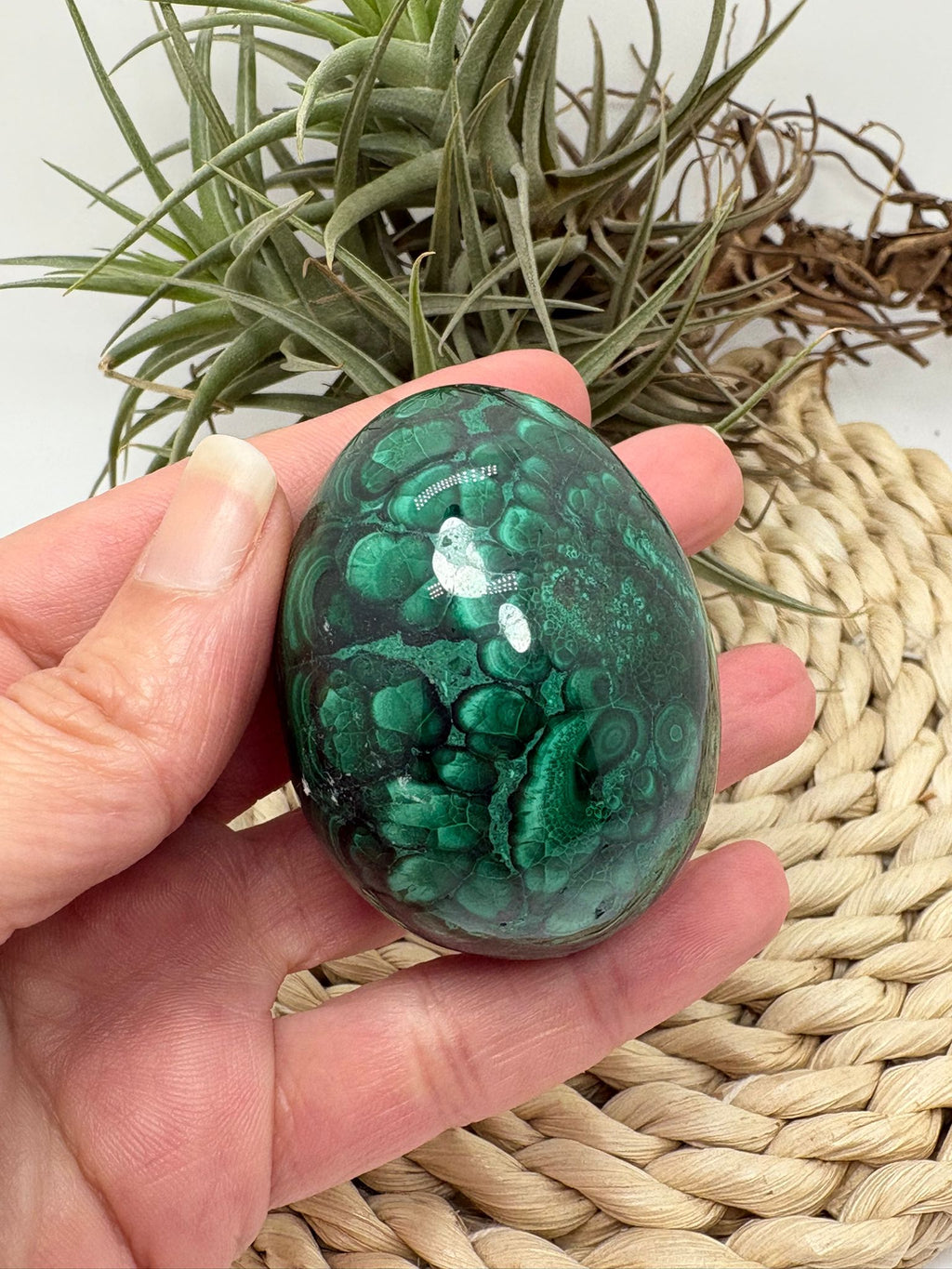 Huevo de malaquita fibrosa pulida con intensos tonos verdes y patrón natural único. Piedra de protección, transformación y energía profunda.