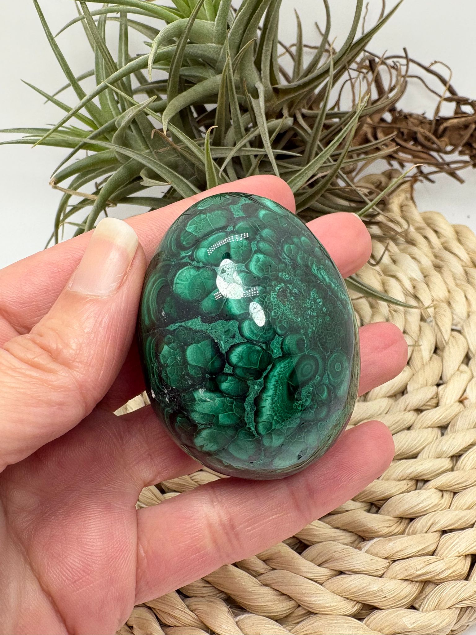 Huevo de malaquita fibrosa pulida con intensos tonos verdes y patrón natural único. Piedra de protección, transformación y energía profunda.