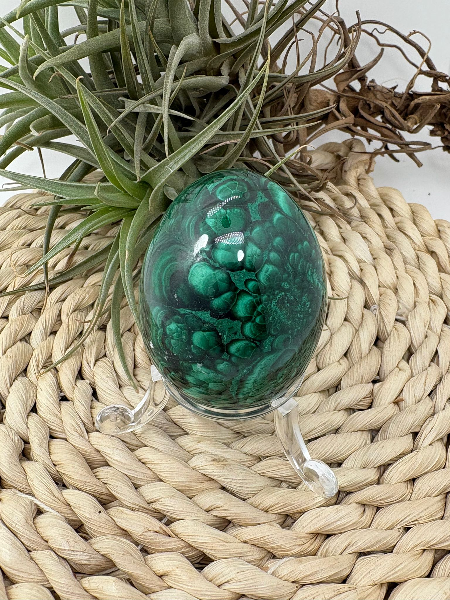 Huevo de malaquita fibrosa pulida con intensos tonos verdes y patrón natural único. Piedra de protección, transformación y energía profunda.