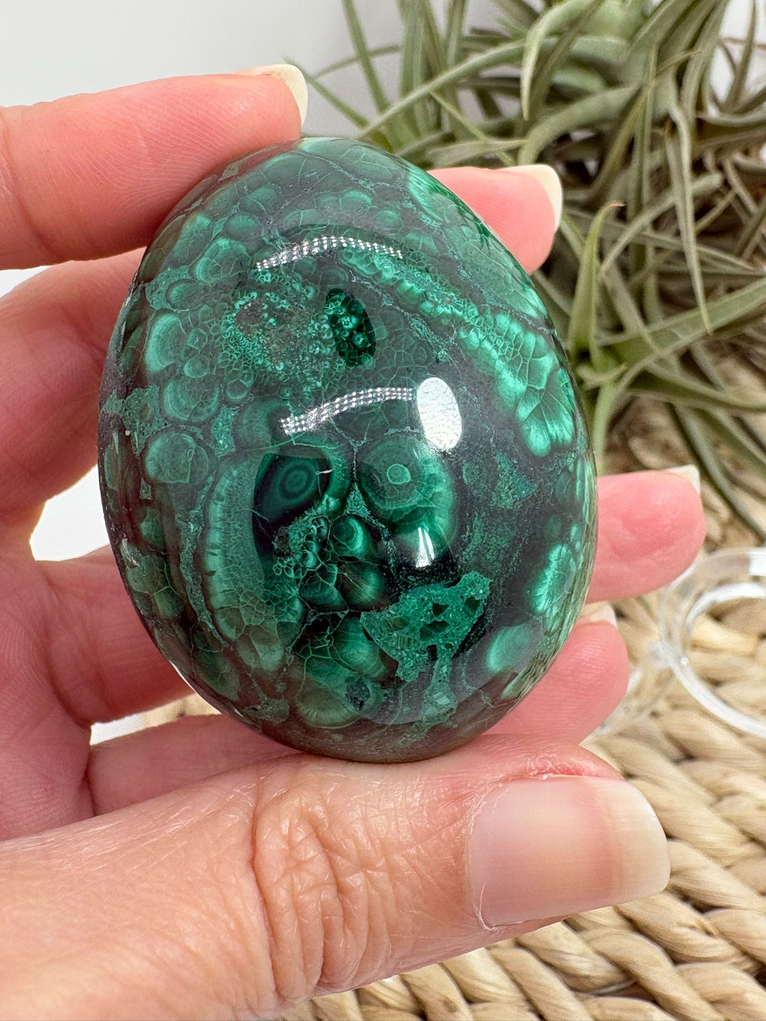 Huevo de malaquita fibrosa pulida con intensos tonos verdes y patrón natural único. Piedra de protección, transformación y energía profunda.