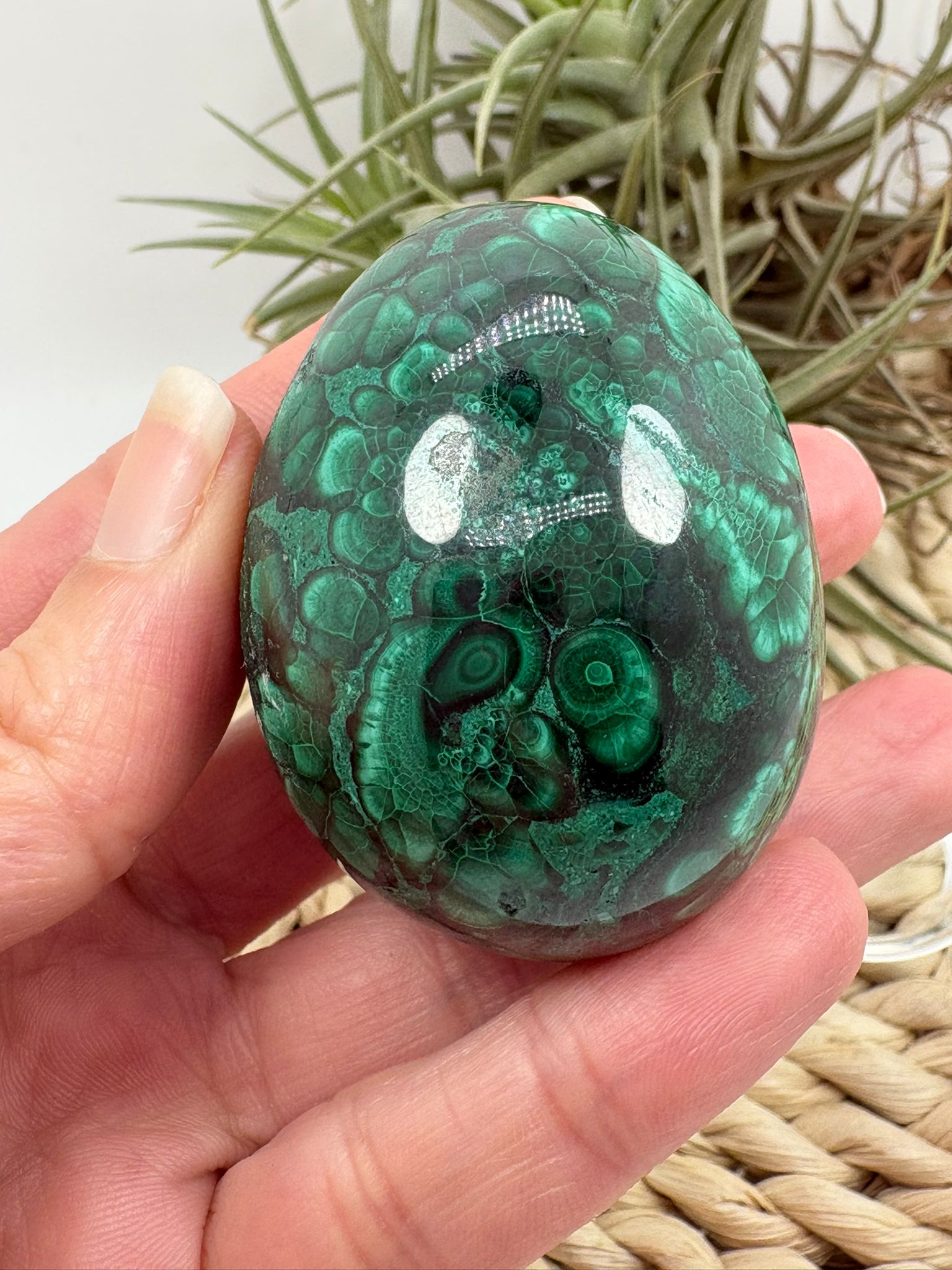 Huevo de malaquita fibrosa pulida con intensos tonos verdes y patrón natural único. Piedra de protección, transformación y energía profunda.