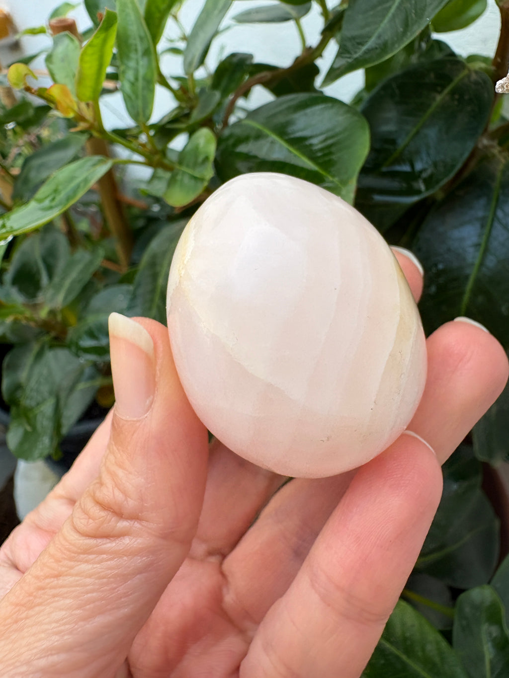 Pequeño huevo de manganocalcita pulida, de un delicado tono rosa pálido con vetas blancas y crema. Su superficie suave y sus dibujos naturales le dan un aspecto dulce y especial, ideal para regalar o añadir a tu colección de minerales.