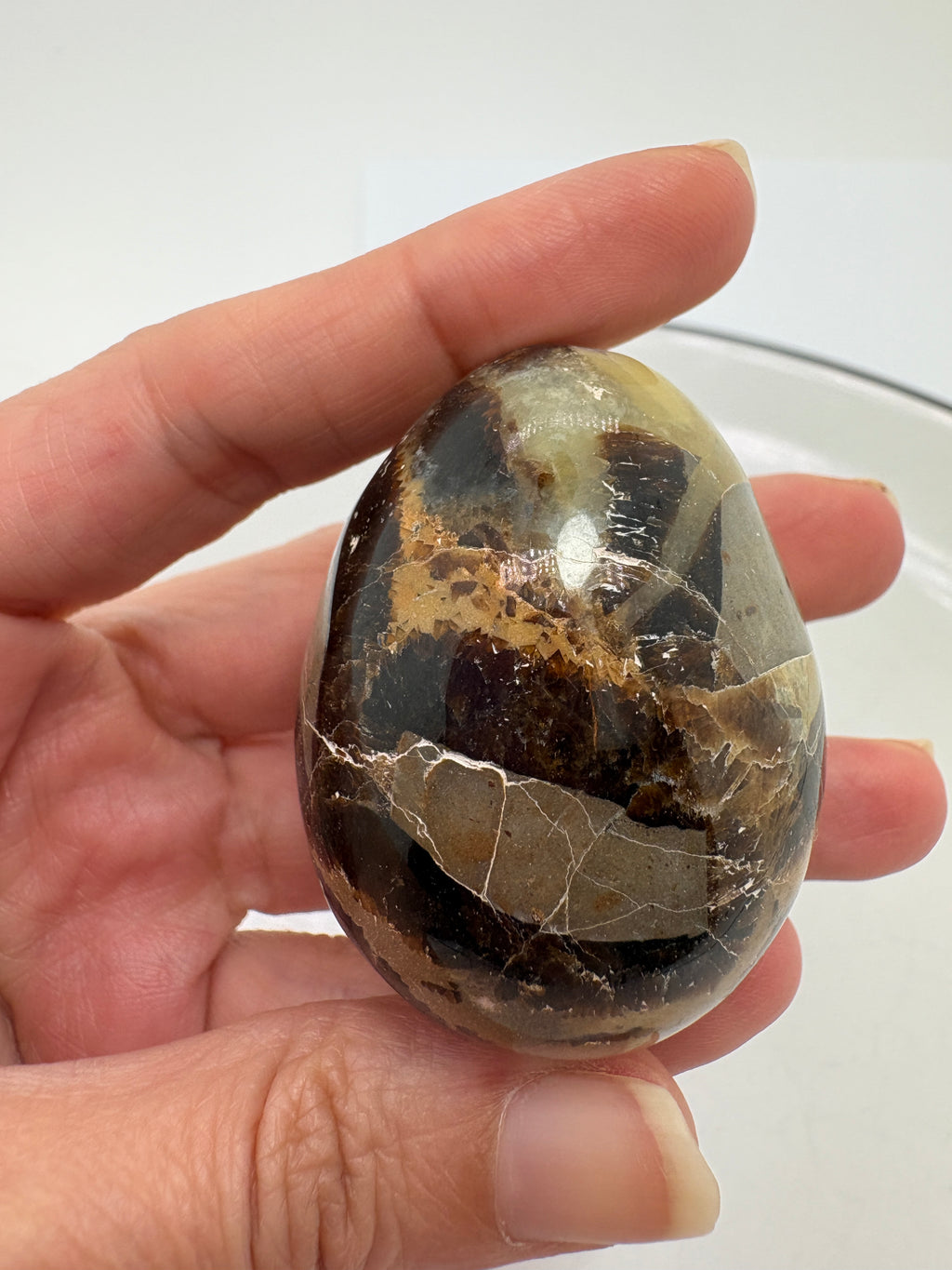 Un pequeño huevo de septaria que combina tonos amarillos y miel con zonas marrones y gris oscuro. Su acabado pulido realza los dibujos naturales de la piedra, creando un bonito contraste que hace especial cada una de sus caras.