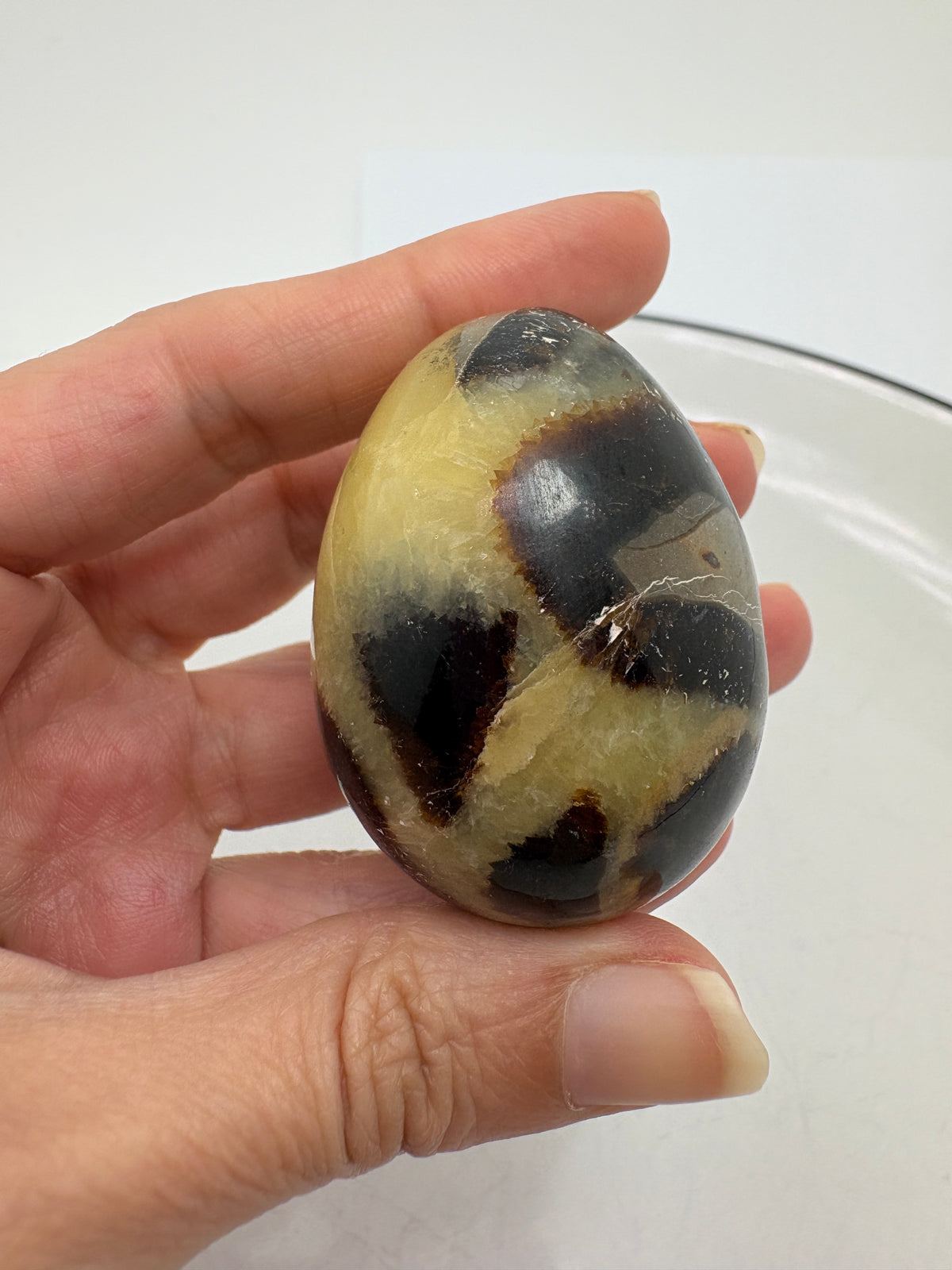 Un pequeño huevo de septaria que combina tonos amarillos y miel con zonas marrones y gris oscuro. Su acabado pulido realza los dibujos naturales de la piedra, creando un bonito contraste que hace especial cada una de sus caras.