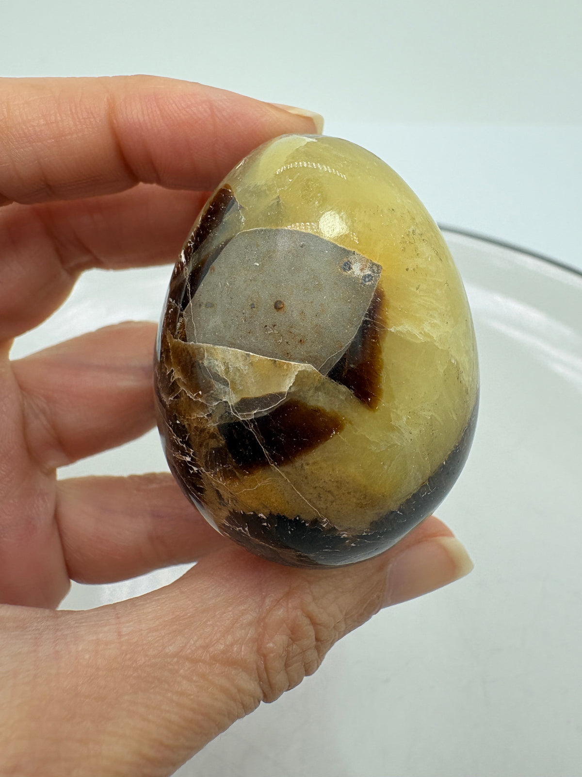Un pequeño huevo de septaria que combina tonos amarillos y miel con zonas marrones y gris oscuro. Su acabado pulido realza los dibujos naturales de la piedra, creando un bonito contraste que hace especial cada una de sus caras.