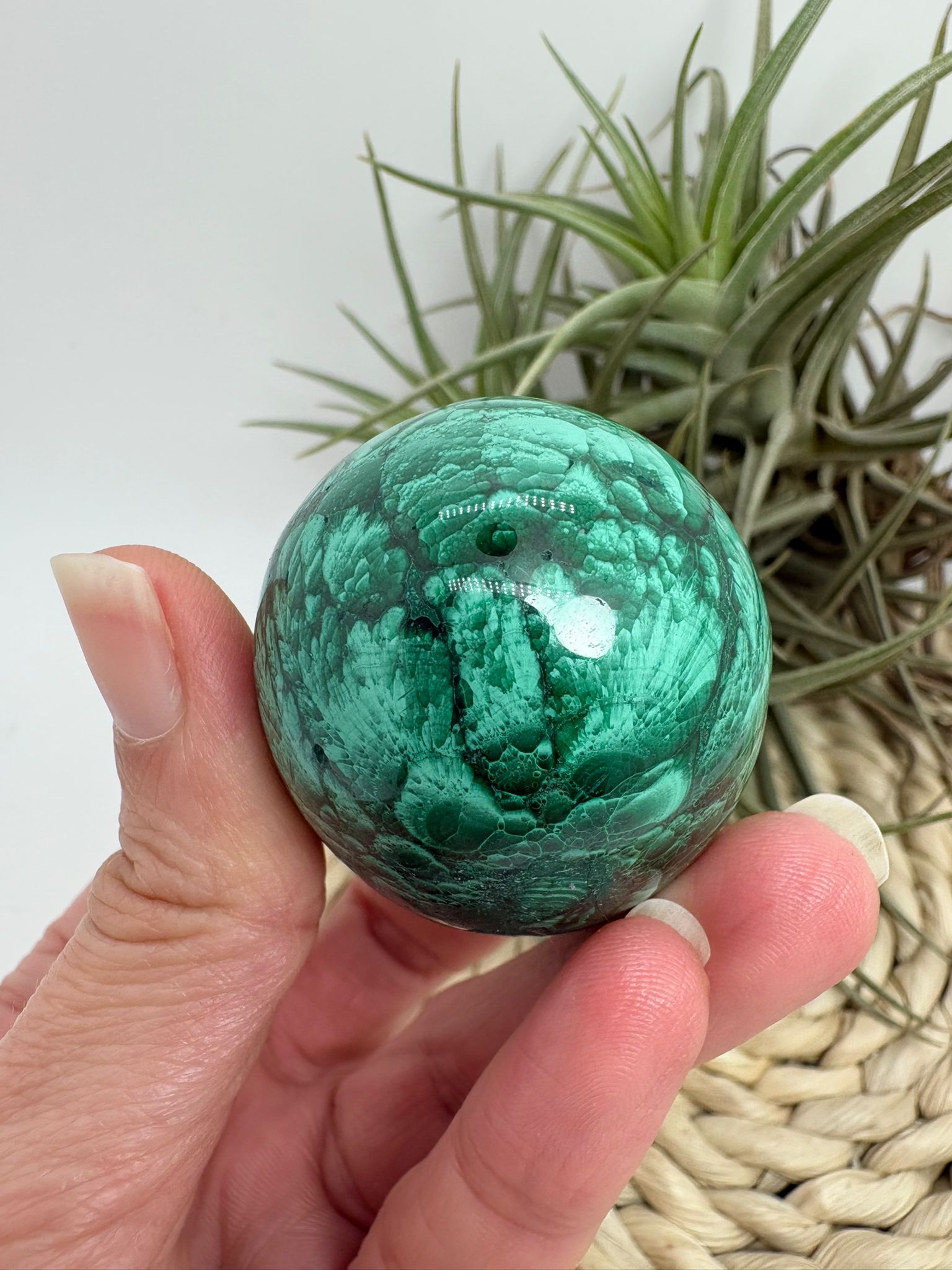 Huevo de malaquita fibrosa pulida, una pieza única con un dibujo natural profundo en tonos verdes intensos que evocan la fuerza de la naturaleza en estado puro. Su forma ovalada potencia la energía, favoreciendo la armonía y la protección energética.