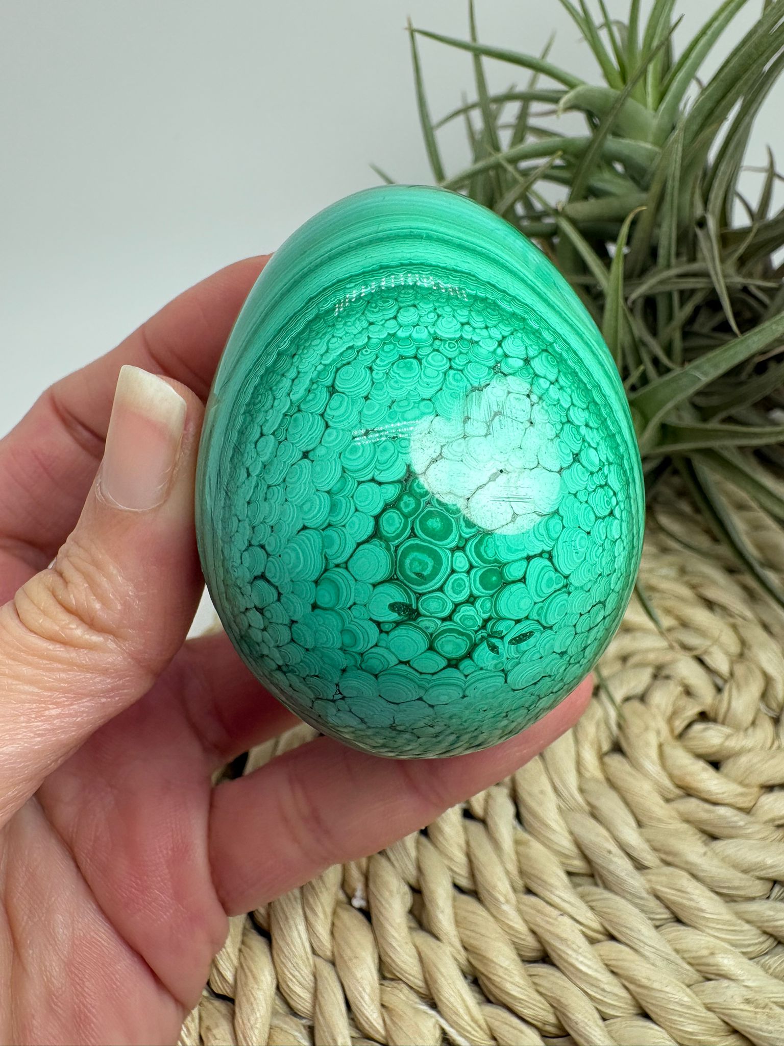 Huevo de malaquita fibrosa pulida con intensos tonos verdes y patrón natural único. Piedra de protección, transformación y energía profunda.