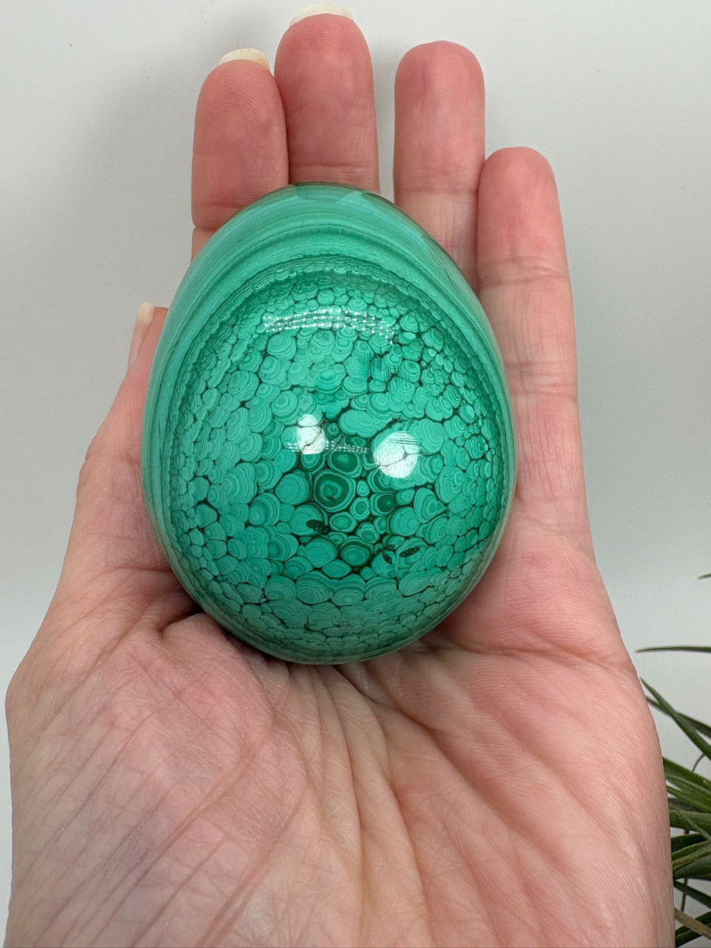 Huevo de malaquita fibrosa pulida con intensos tonos verdes y patrón natural único. Piedra de protección, transformación y energía profunda.